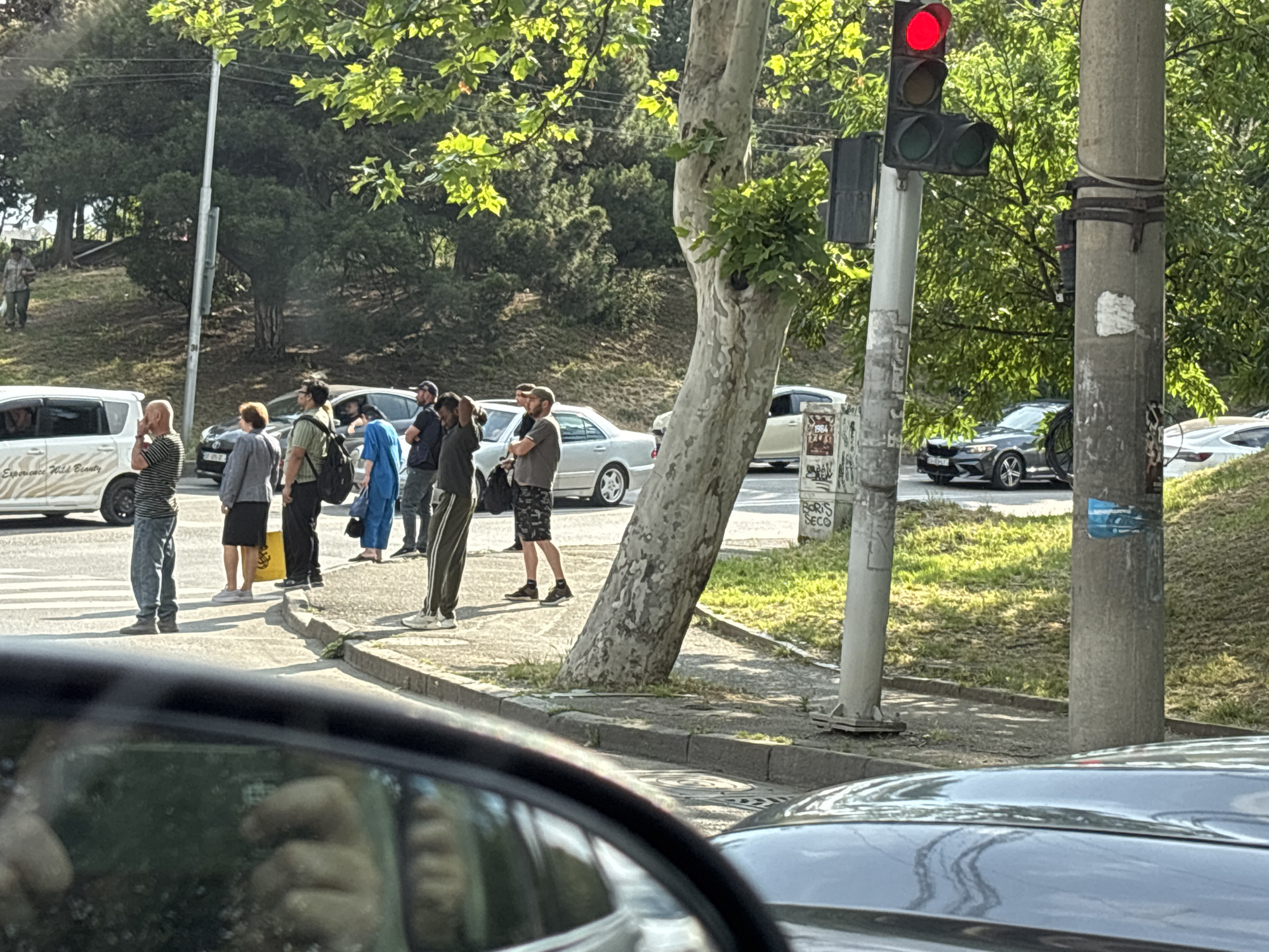 In an outdoor urban setting in Tbilisi, Georgia, a group of pedestrians stands on a sidewalk near a street intersection. A traffic light displaying a red signal is visible on a pole, indicating a stop. Several vehicles are present: a white minivan, a light-colored sedan, and a dark-colored sedan. The pedestrians, a mix of men and women, are dressed in casual attire and appear to be waiting. Some are looking in different directions, while others are engaged in conversation. A large tree with a textured trunk and green foliage stands prominently in the foreground, partially obscuring the view of some elements. The environment is characterized by a paved road, sidewalk, grassy slopes, and more trees in the background. The overall impression is that of a typical street scene with people waiting at a traffic light.