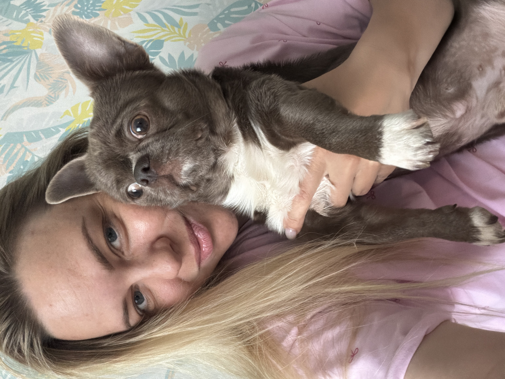 A woman with blonde hair and blue eyes lies on her back on a bed with a patterned bedspread. She is wearing a light pink shirt. She is holding a small, gray and white dog close to her chest, cradling it with her arms. The dog has large ears and is looking at the camera.
There is no information available to ascertain the location is in the city of Votkinsk, Russia.
