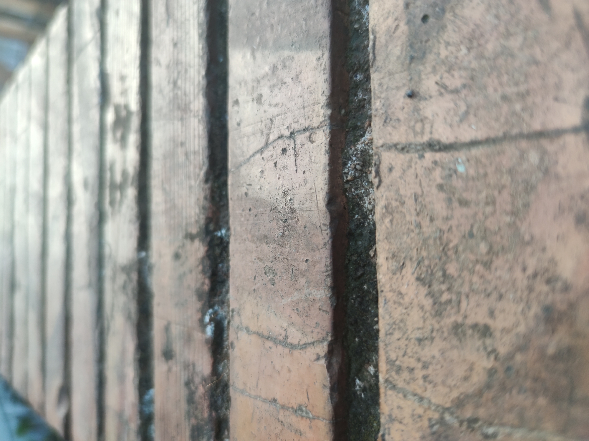 The image shows a close-up view of a brick structure. The bricks are rectangular and laid in a vertical orientation. The color of the bricks is a mix of reddish-brown and tan, with a weathered appearance. The mortar joints between the bricks are dark. Some patches of white discoloration and green moss are visible. The background is blurry. The location is unknown.