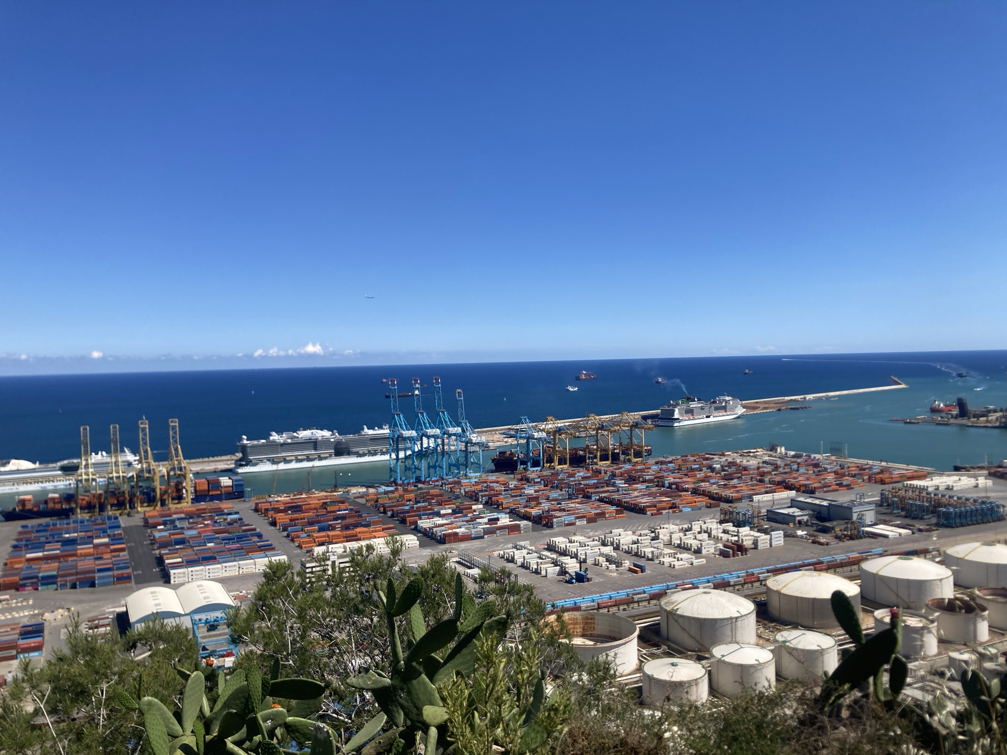 The image shows a wide-angle view of the Port of Barcelona, a major seaport in Barcelona, Spain. The foreground features vegetation, including cactus plants, growing on a hill. Beyond the vegetation, the port area is visible, with numerous shipping containers stacked in organized rows. Various port infrastructure elements, such as cranes used for loading and unloading containers, are visible. In the background, the blue waters of the Mediterranean Sea are prominent, with large cruise ships and other vessels docked or sailing. The sky is a clear, bright blue. The overall scene depicts a busy, active port operation under clear weather conditions.