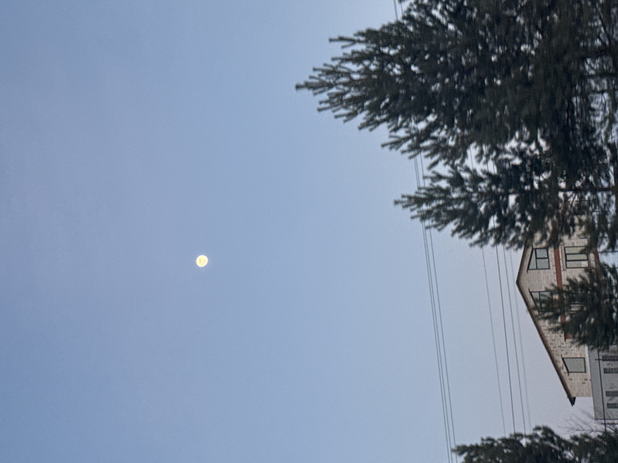The image shows a pale moon in a light blue sky. To the right, blurred, is a fir tree and a light-colored building with dark-framed windows and vertical power lines. The location is likely Прикамский, Russia, given the prompt. The building appears to be several stories high.