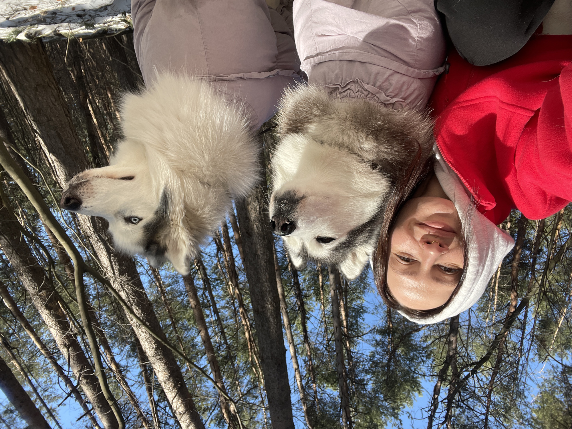 A person is taking a selfie with two dogs in a snowy, wooded area, possibly near Izhevsk, Russia. The person is wearing a red and gray hooded jacket. The dogs appear to be huskies. The background features trees and a clear blue sky. The image is oriented upside down.