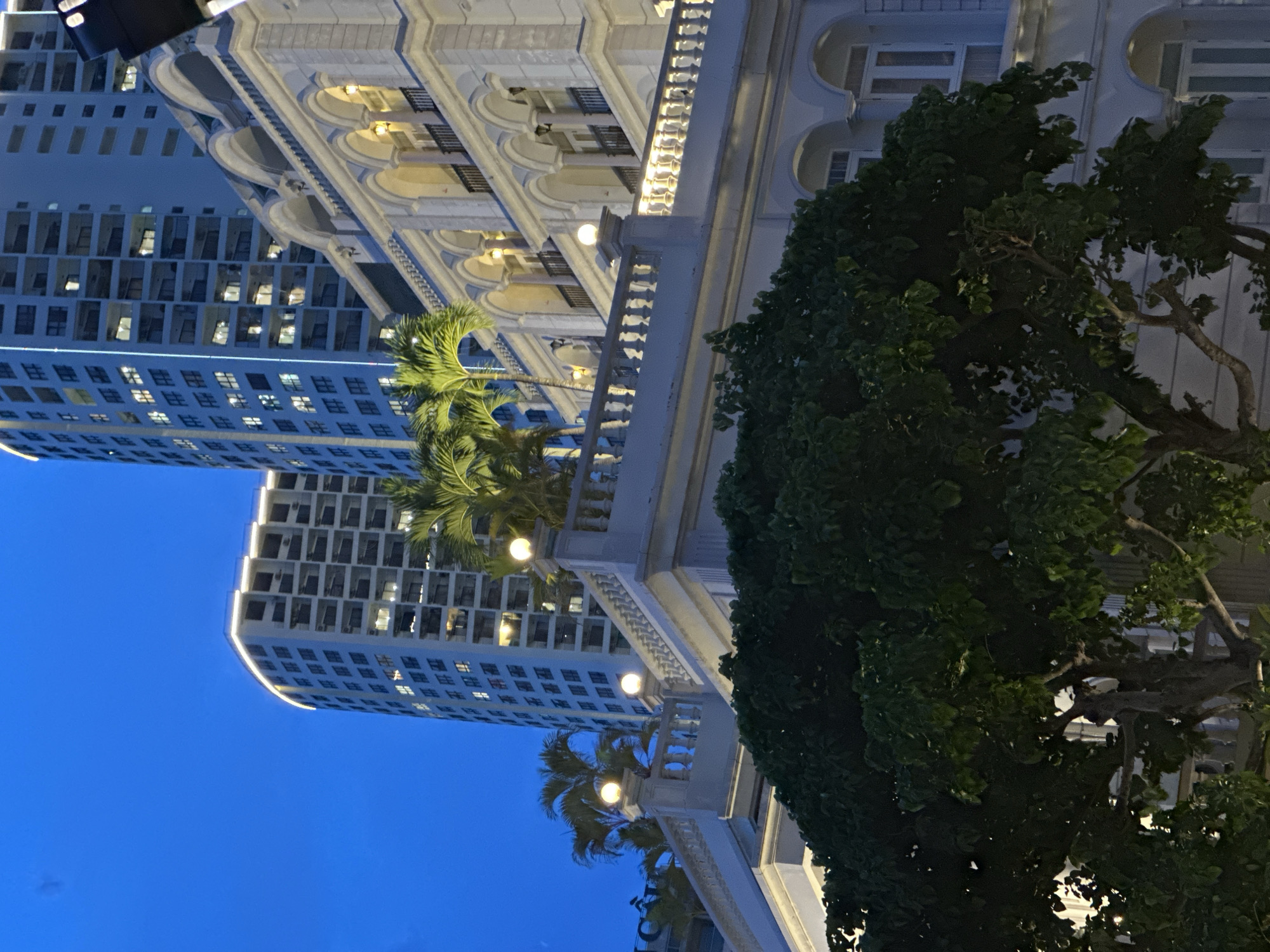 This is a medium-angle shot of a city skyline at dusk, specifically showing buildings in Nha Trang, Vietnam. The foreground is dominated by a large, lush green tree with dark branches and leaves, obscuring the lower portion of the buildings. Behind the tree, a white, multi-story building with classical architectural elements, featuring arched windows and balconies, is visible. Several spherical lights are mounted on the railing of this building. Further in the background, taller, modern high-rise apartment buildings with many windows illuminated by interior lights rise into the dark blue sky. The overall impression is one of urban development with a contrast between historical and contemporary architecture.