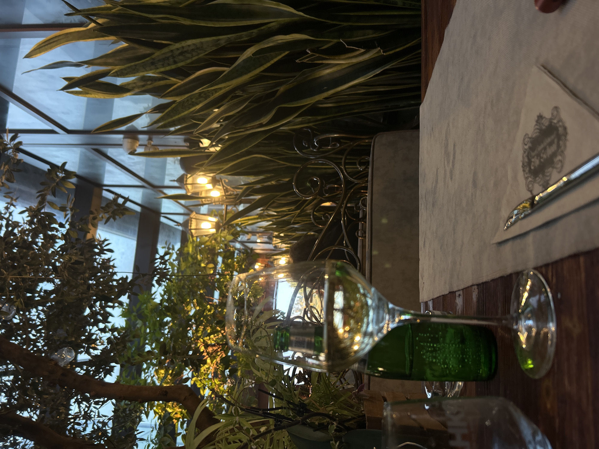 The image shows a table setting in what appears to be a restaurant or indoor garden setting, likely in Sofia, Bulgaria. A wine glass is prominent in the foreground, partially obscuring the view of the scene. To the right, there is a folded napkin and silverware set on a white tablecloth. A green wine bottle is next to the wine glass.
Behind the table setting, there is lush greenery and a window structure. The greenery includes tall plants with long, variegated leaves, resembling snake plants, and other leafy vegetation. Decorative lanterns are visible among the plants. The window structure has a grid-like pattern and hints at an outdoor view with a cool, blue-toned sky. The setting is indoor, with artificial lighting enhancing the ambiance.