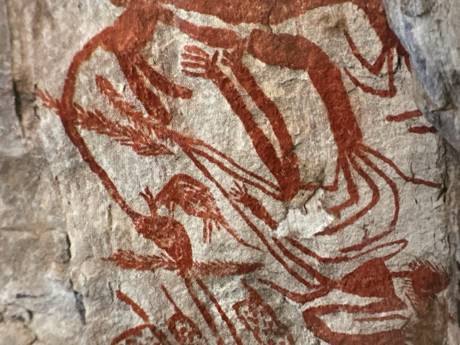 The image displays ancient rock art in red ochre on a rough, pale stone surface. Stick-figure-like depictions include humanoids with elongated limbs and hands. Some figures seem to be holding or interacting with stylized plant forms, resembling reeds or wheat. The composition is abstract, possibly representing hunting, gathering, or ritualistic activities. The figures are superimposed and intertwined, suggesting a complex narrative or symbolic scene.