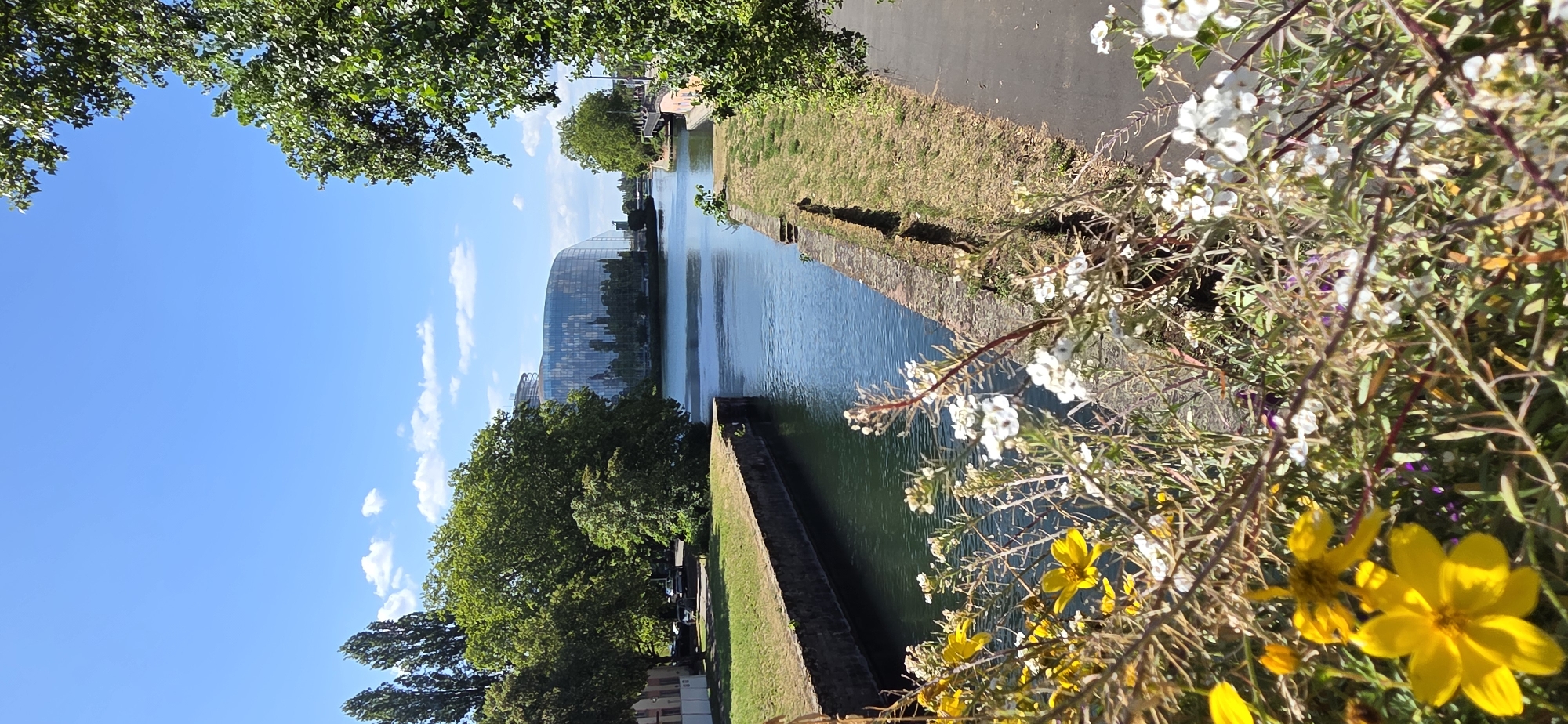 This is a vertically oriented, full shot photograph of a canal in Strasbourg, France, on a sunny day. The canal runs along the right side of the frame, bordered by stone walls and grass. On the left side, lush green trees partially obscure a large, curved glass building in the distance, which is likely the European Parliament building. The water in the canal is a calm, blue-green color. In the foreground, on the right, a bush with small white and yellow flowers is in bloom, with some purple flowers visible further back. The sky is a clear blue with a few white clouds. The scene evokes a sense of peace and natural beauty, contrasted with the modern architecture in the background. There is no visible text in the image. The lighting suggests it is daytime, likely late morning or afternoon.
