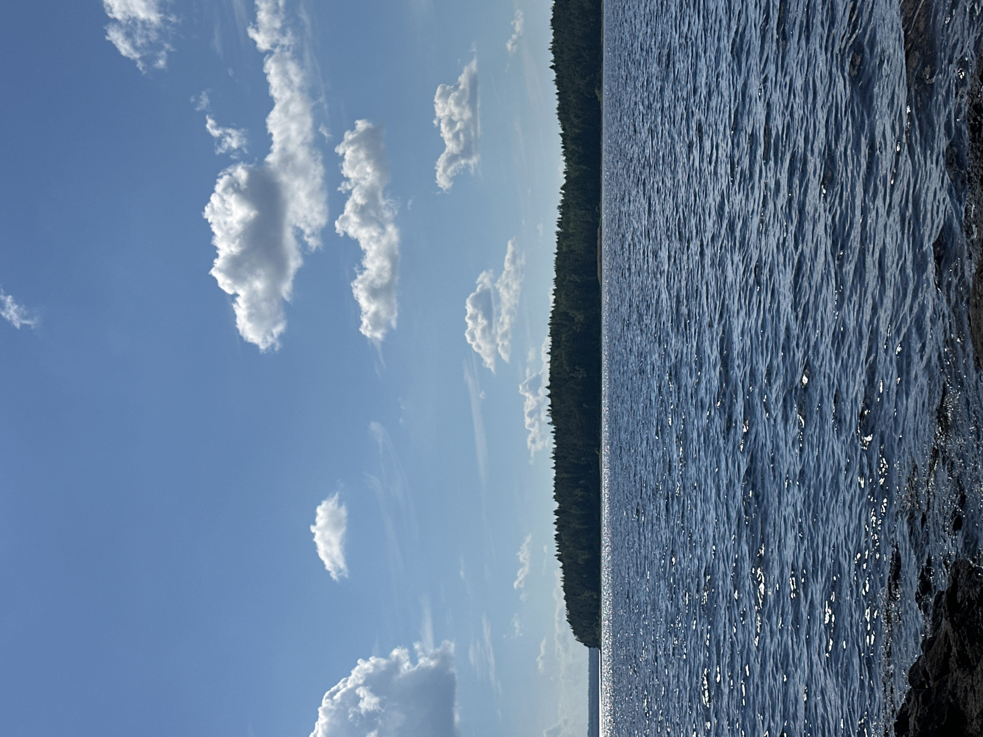 A serene, wide shot captures a body of water against a backdrop of a lush green treeline and a bright blue sky dotted with fluffy white clouds. The water's surface is gently rippled, reflecting the sunlight and creating a shimmering effect. In the foreground, dark, rocky shoreline is visible. The distant treeline stretches horizontally across the frame, suggesting a peninsula or island. The overall scene evokes a sense of natural tranquility.