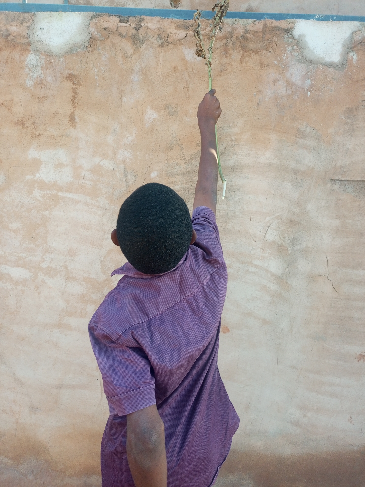 A young boy, viewed from behind, stands with his right arm extended upwards, holding a dried plant stalk against a weathered, tan-colored wall. The boy wears a purple, collared shirt with a subtle checkered pattern. The wall shows signs of age, with patches of lighter plaster and visible cracks. Above the wall, a thin blue stripe runs horizontally. The scene appears to be an outdoor setting in a residential area of Tempure, Nigeria.