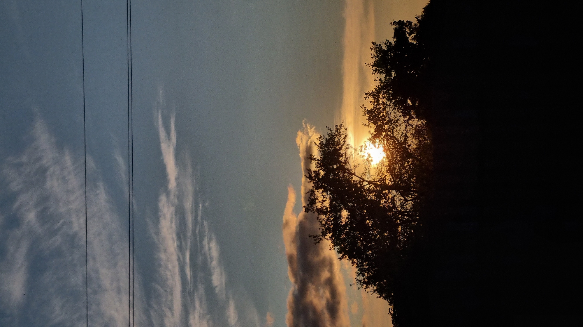 The image shows a sunset scene with a silhouetted tree line against a gradient sky. The sky transitions from a deep blue at the top to a soft orange near the horizon, with wispy clouds scattered throughout. Two horizontal power lines are visible in the upper portion of the image. The sun is setting behind the trees, creating a bright, almost blinding light. The bottom half of the image is dominated by the dark silhouette of trees and possibly a fence or low structure. The location is identified as Vysokoe, Russia.
