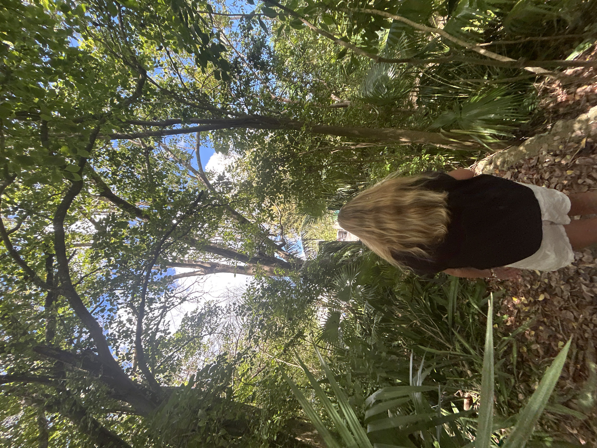 A medium-shot, slightly canted perspective depicts a person with long blonde hair, wearing a dark shirt and light-colored shorts, standing on a ground covered with leaves and vegetation. The person is positioned in a lush, forested area with dense foliage. Tall trees with green leaves create a canopy above, with patches of blue sky visible through the branches. Various types of greenery, including palms, are scattered throughout the scene. The location of the scene is in Sainte-Anne, France.