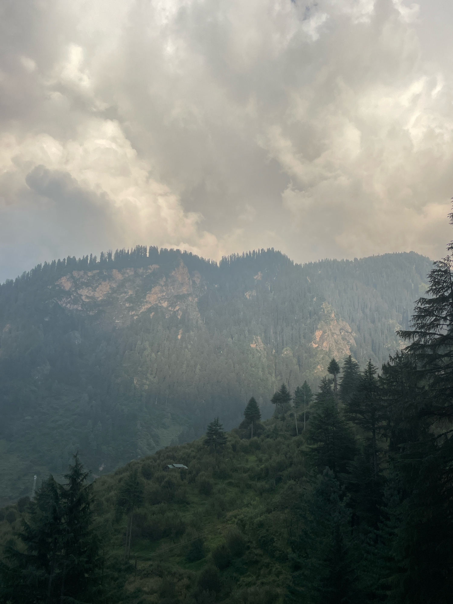 An overcast sky looms above a misty mountain range covered in dense pine trees in Jana, India. The mountains are steep and rugged, with a few patches of exposed rock. A beam of sunlight cuts through the mist, illuminating a section of the mountain face. In the foreground, more pine trees create a dark, silhouetted border to the scene.