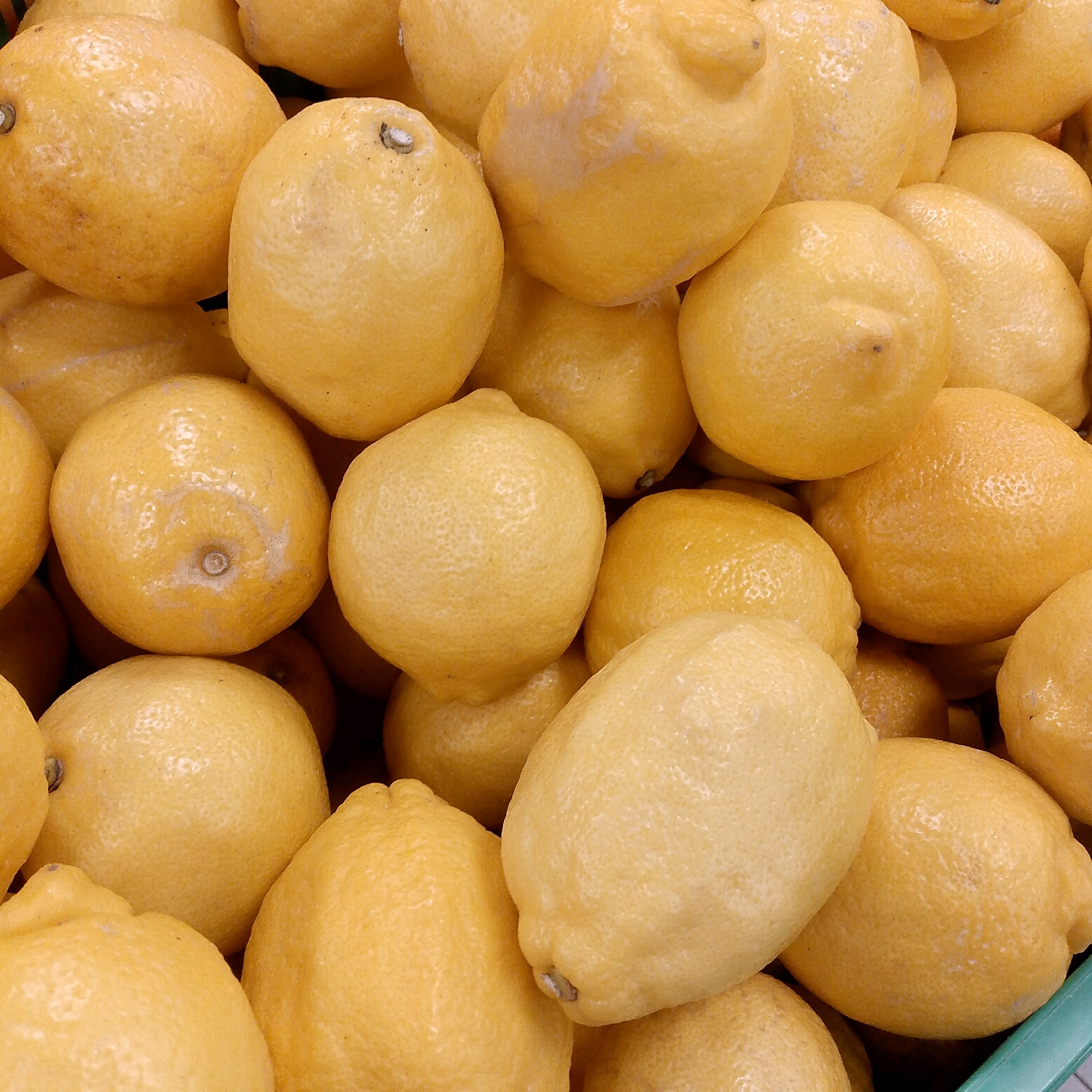 The image shows a close-up, overhead view of a pile of ripe lemons. The lemons are predominantly yellow with some hints of green and slight blemishes on their surfaces. They are various sizes and are densely packed together, suggesting they are in a crate or container. The texture of the lemons appears slightly rough and textured. The lighting is bright, casting subtle shadows that define the roundness of the fruits. There are no people or any recognizable landmarks or environmental features visible that would indicate a specific location within Vyazniki, Russia. The scene is solely focused on the lemons.