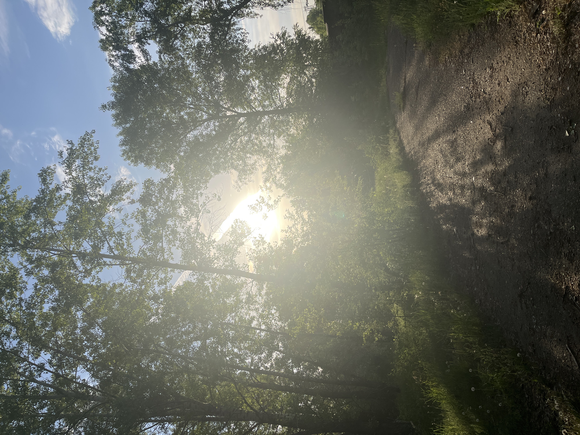 The image shows a path in a wooded area, likely in Chaikovsky, Russia, based on the prompt. The sun is directly in view, causing significant glare and making details difficult to discern. The path is dirt or gravel, with grass and foliage on either side. Trees surround the path, partially obscuring the sky. The sky is blue with some white clouds. There are no visible people or animals.