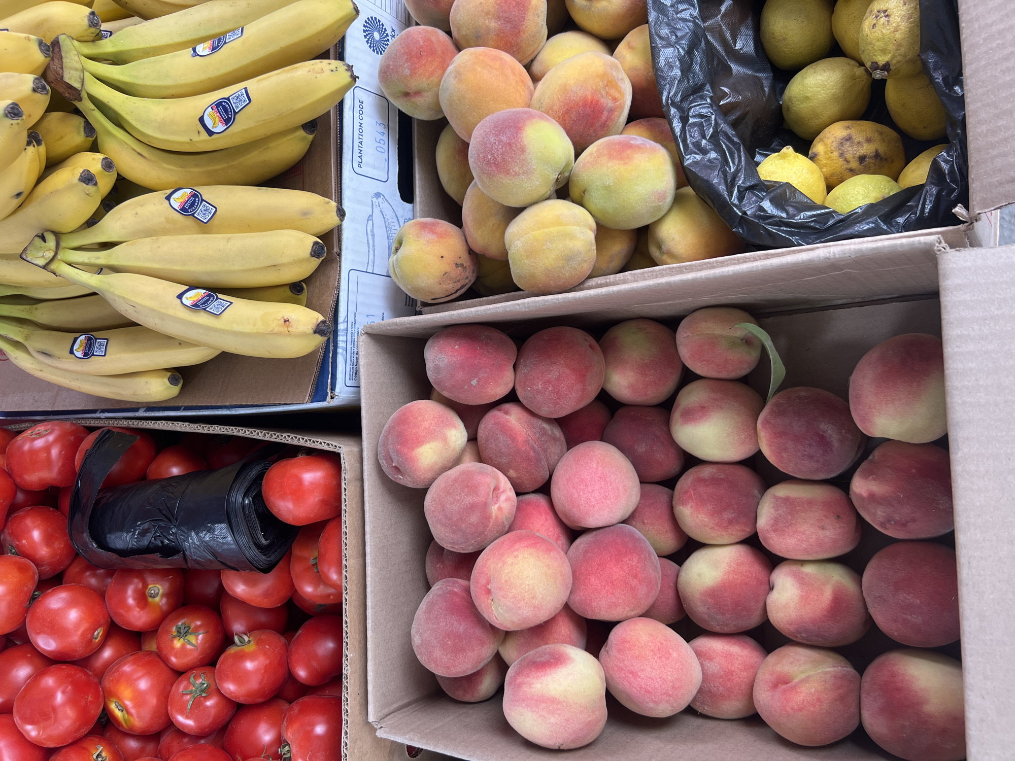 In Nookat, Kyrgyzstan, a close-up, overhead shot captures a colorful fruit stand display. The foreground is dominated by two cardboard boxes filled with ripe peaches. The left box showcases a layer of peaches with a gradient of red and yellow hues, some with green undertones. The right box contains more peaches, some peeking out from beneath a black plastic bag filled with lemons. These lemons, a mix of yellow and greenish-yellow, are scattered amongst the peaches, with some showing slight imperfections.
Behind the peaches, to the right, a box overflows with bright yellow bananas. Several bunches are visible, some with prominent stickers indicating their origin. The bananas are a vibrant yellow, suggesting ripeness.
Further back, to the left, is a large cardboard box filled with red tomatoes. A roll of black plastic trash bags is tucked amongst the tomatoes, its dark color contrasting sharply with the red fruit. The tomatoes vary in size and shade of red. The overall scene is one of abundance and fresh produce, typical of a local market.