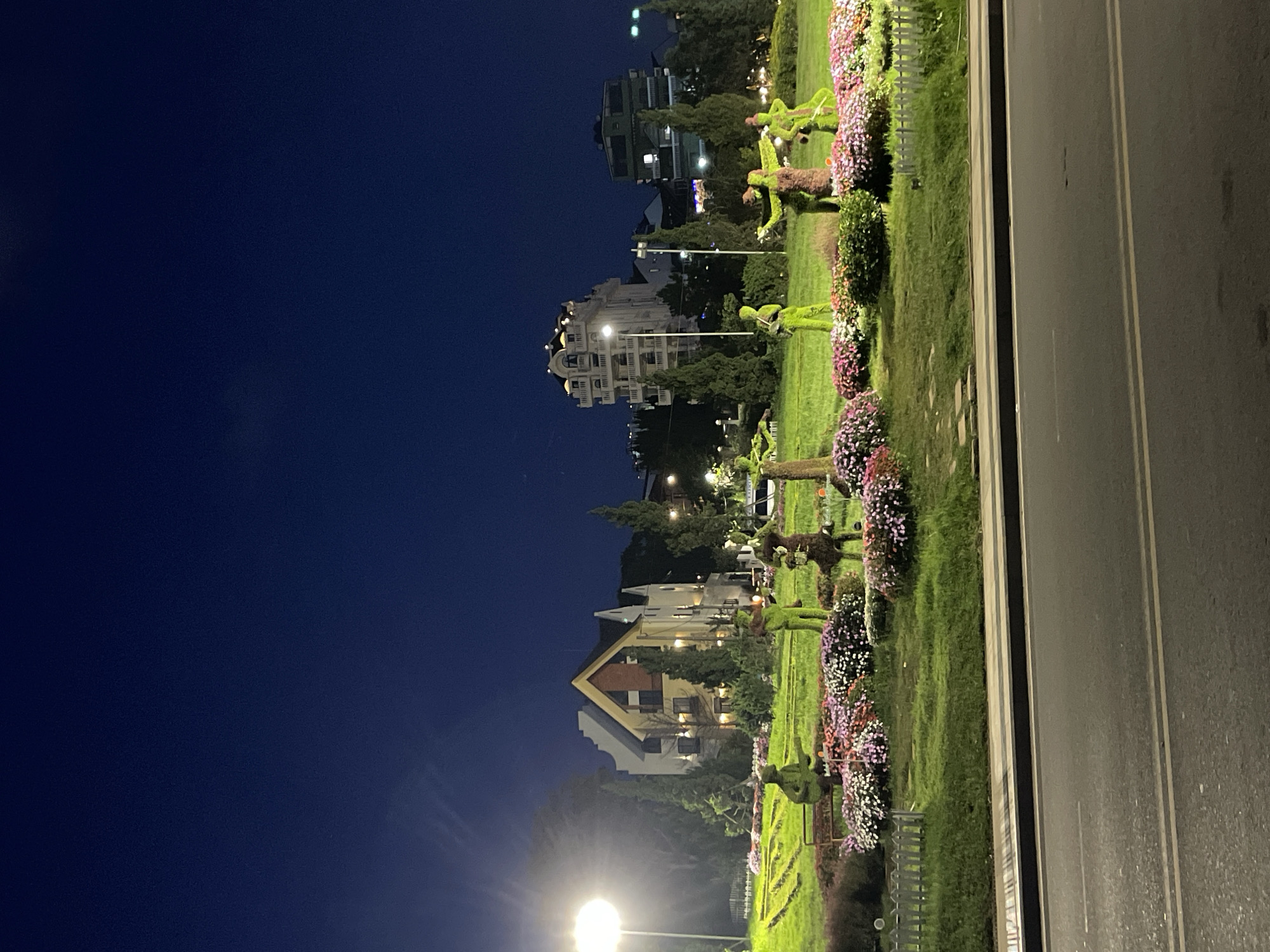 This nighttime image depicts a public garden or park median in Da Lat, Vietnam, situated adjacent to a two-lane asphalt road. The scene is illuminated by artificial light sources, including a prominent street lamp on the far left, casting light across the foreground and midground.
In the foreground, a dark asphalt road is visible, marked by a double solid white line. It is separated from the garden by a light grey concrete sidewalk and curb. The midground features a manicured green lawn interspersed with numerous flower beds containing small blossoms primarily in shades of pink, white, and purple. Several topiary sculptures are central to this area: on the left, a green topiary figure resembling a person seated on a bench, holding what appears to be a guitar; towards the center-right, two additional green, human-like topiary figures, one with outstretched arms; and further right, a brown and green topiary, possibly an abstract form. Tall, slender coniferous trees are scattered throughout the garden.
The background showcases an urban landscape dominated by multi-story buildings. On the left, a light-colored building with a distinct A-frame roof section and illuminated windows is visible. In the center, a large, brightly lit, white multi-story building with ornate architectural details on its upper floors and roofline stands out. To its right, a darker, multi-story green building with a flat roof is present. The sky overhead is a deep, dark blue, characteristic of a clear night.