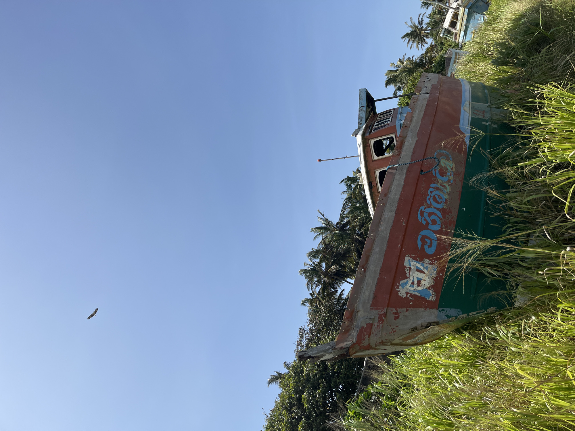In Dondra, Sri Lanka, an abandoned fishing boat rests in tall, green grass under a clear blue sky. The boat, painted red and green with some faded blue lettering, is weathered and appears to be out of the water. Palm trees and other lush vegetation surround the boat, suggesting a tropical coastal environment. In the upper left of the frame, a bird is soaring in the sky. In the background, parts of other derelict boats are visible. The overall scene conveys a sense of stillness and abandonment.