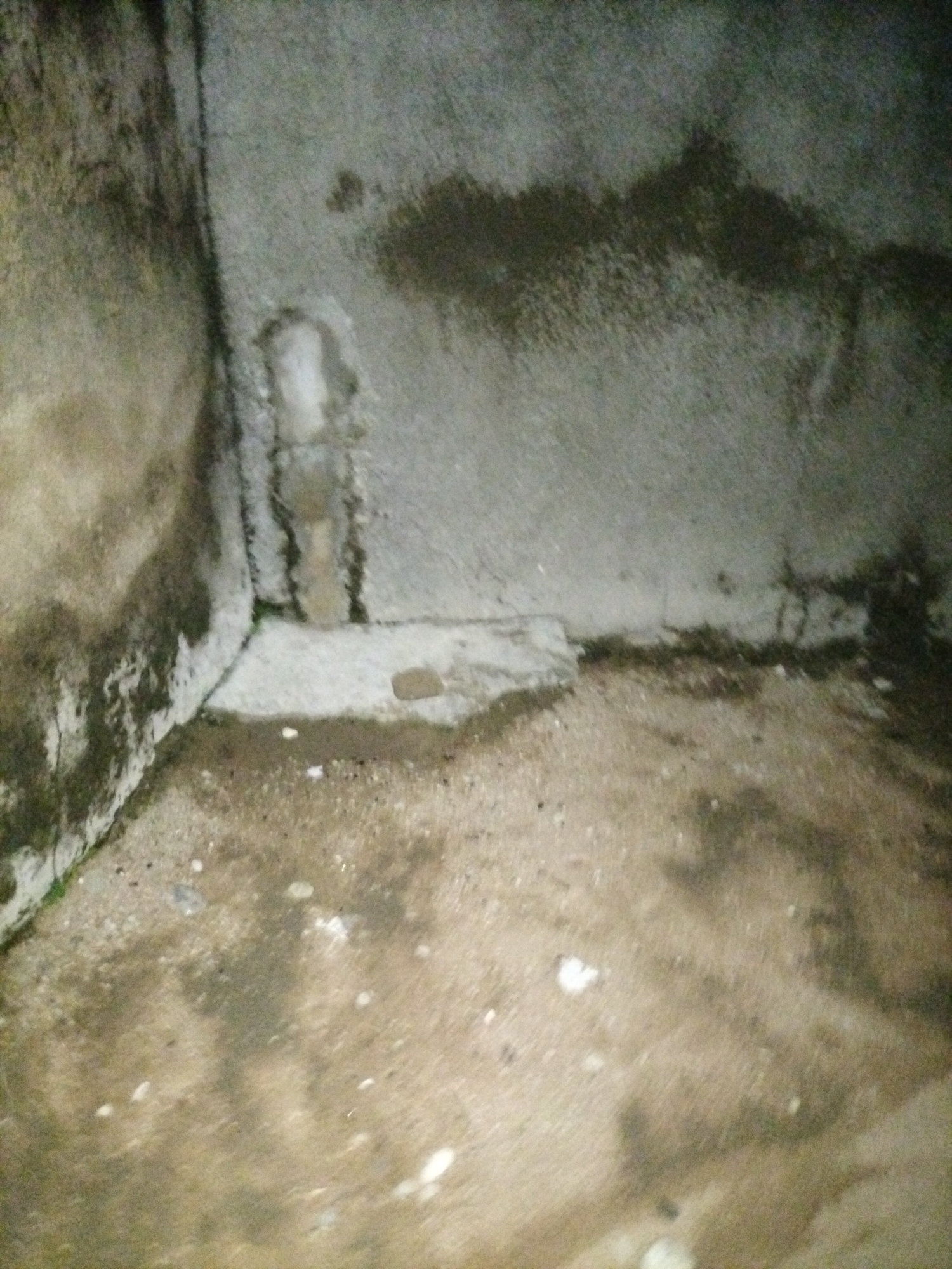 The image shows the interior of a neglected corner of a room or structure. The walls and floor appear to be made of concrete, with signs of dampness, discoloration, and possibly mold or algae growth. The left wall has dark, vertical streaks and patches, suggesting water damage or staining. The back wall is also discolored, with some areas appearing darker and more mottled. A lighter patch is visible on the back wall, possibly a repair or a different material. The floor is uneven and stained, with a scattering of small white and grey debris. In the corner, where the left and back walls meet the floor, there is a raised, lighter-colored concrete platform. The lighting is dim, casting shadows and obscuring fine details. The scene suggests an abandoned or poorly maintained space. This location is Jalingo, Nigeria.
