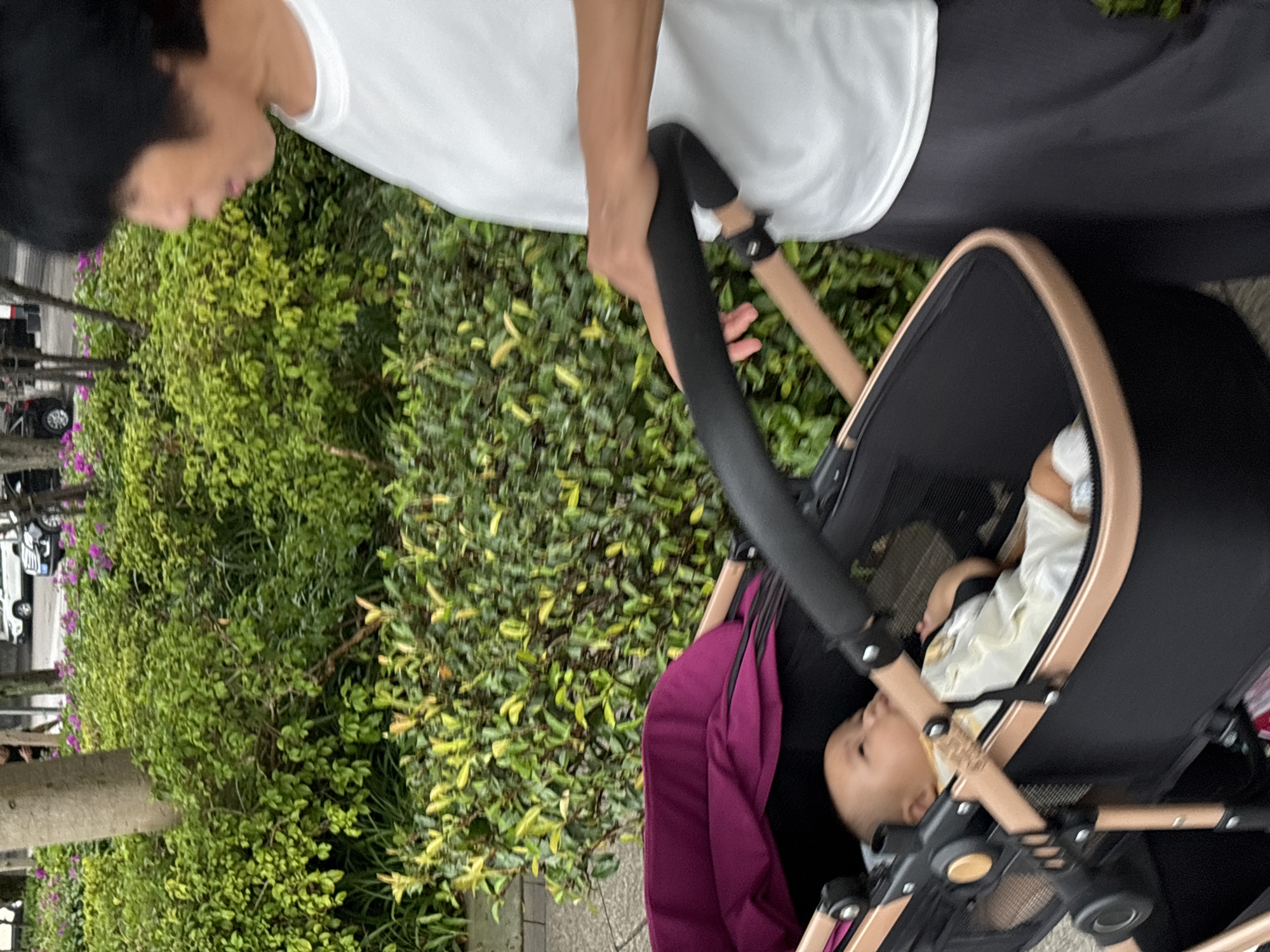 In Jiangjin, China, a person with short black hair, wearing a white t-shirt and dark pants, pushes a stroller with a baby inside. The stroller has a black frame with gold accents and a magenta fabric lining. The baby is lying down in the stroller, wearing a light-colored outfit. They are walking alongside a lush green hedge and a tree. In the background, a white vehicle and a black vehicle are visible, suggesting a street or road nearby. The ground appears to be paved.