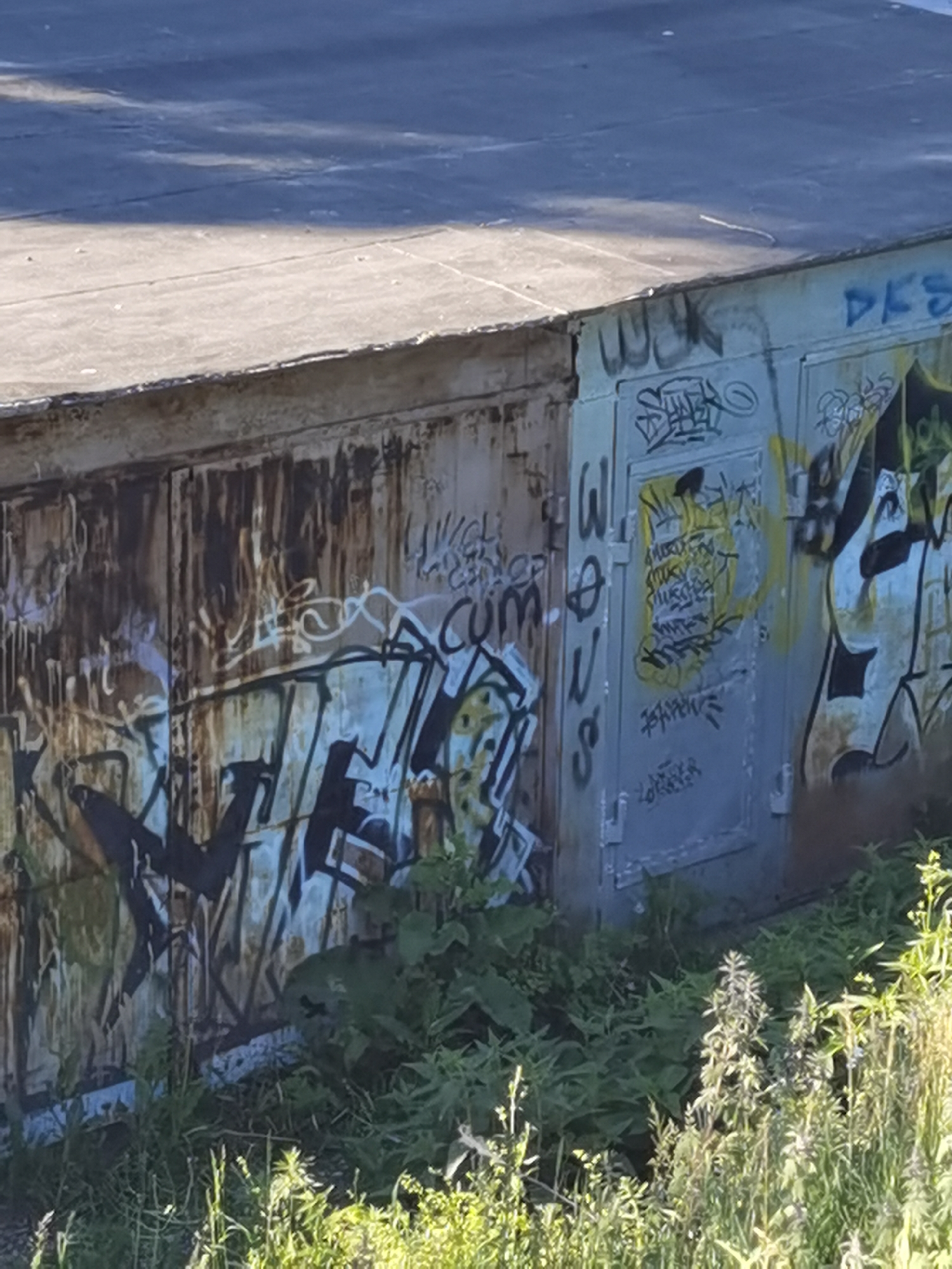 The image shows a weathered, industrial-style building, possibly a garage or storage unit, covered in graffiti. The building has a corrugated metal side on the left and a metal door on the right, both heavily tagged with spray paint in various colors and styles. Some of the graffiti is abstract, while other parts appear to be tags or lettering. The building is situated outdoors, with a flat, dark rooftop visible at the top of the frame. Lush green vegetation, including tall grasses and leafy plants, grows around the base of the building, suggesting an outdoor, possibly urban or semi-urban, environment. The lighting indicates it is daytime, with some shadows present on the rooftop. No people are visible in the image. The overall scene depicts an aged structure marked by graffiti and surrounded by natural growth. This scene is located in the city of Chaikovsky, Russia.