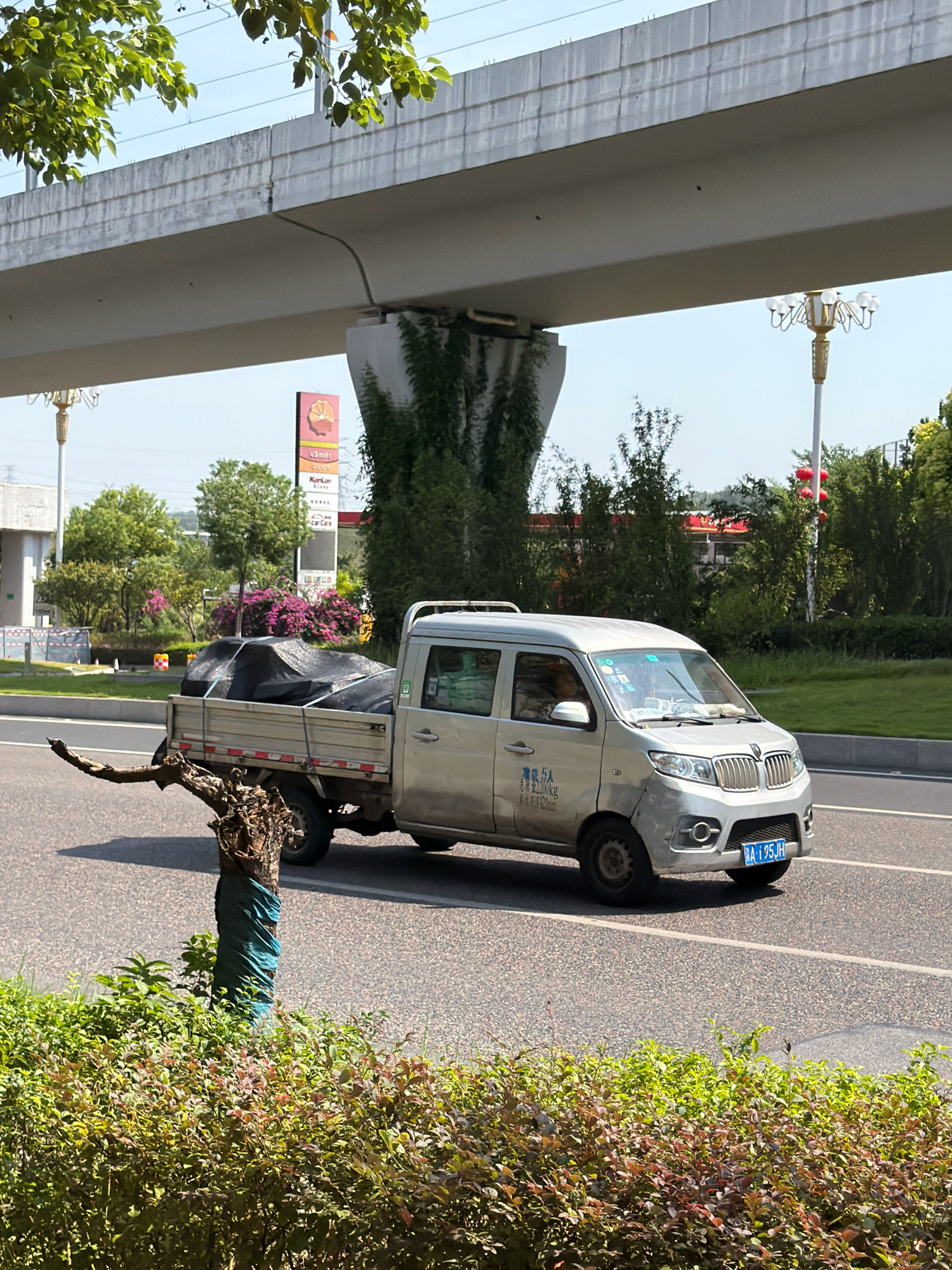 A light-colored pickup truck with a crew cab is driving on a paved road under an elevated concrete structure. The truck bed is covered with a black tarp. In the foreground, a bare tree branch is covered with a teal-colored cloth. Behind the truck, there is a multi-story sign with Chinese characters and a logo. Lush green trees and bushes are visible in the background, along with a street light. The sky is clear and blue. The scene is in Jiangjin, China.