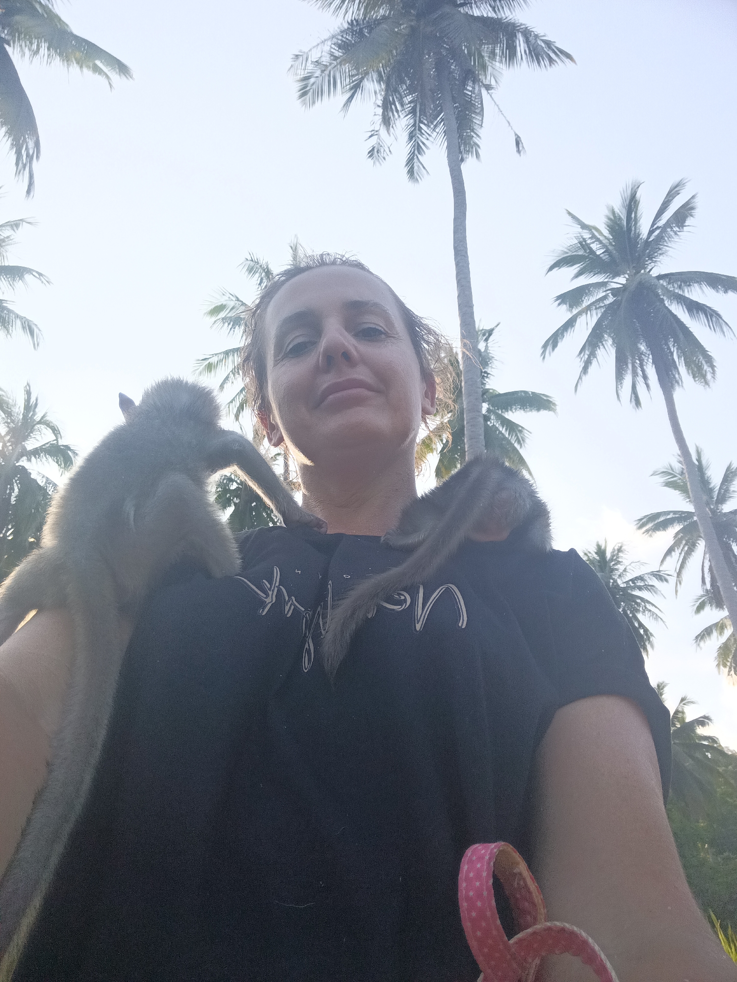 A low-angle selfie captures a woman outdoors with two small, greyish primates perched on her shoulders, set against a bright, clear sky and numerous palm trees. The woman, with light skin and dark hair pulled back, looks directly at the camera with a subtle smile. She is wearing a black t-shirt, on which faint white text, possibly "on", is visible. One small animal is on her left shoulder (viewer's right), and the other is on her right shoulder (viewer's left), both appearing to be young monkeys or similar creatures. Their fur looks soft and light-colored, and they are backlit by the bright sky.
The scene is dominated by the light blue sky, indicating a clear day. Several tall palm trees with their fronds are silhouetted against the bright background, suggesting a tropical environment. The lighting implies either early morning or late afternoon, with the sun behind the subjects, creating a soft glow on their hair and the animals' fur. A pink strap with white polka dots, possibly from a bag or camera, is visible in the lower right corner. The overall mood is relaxed and joyful. The location is Baan Thong Nang, Thailand, a tropical setting consistent with the palm trees.