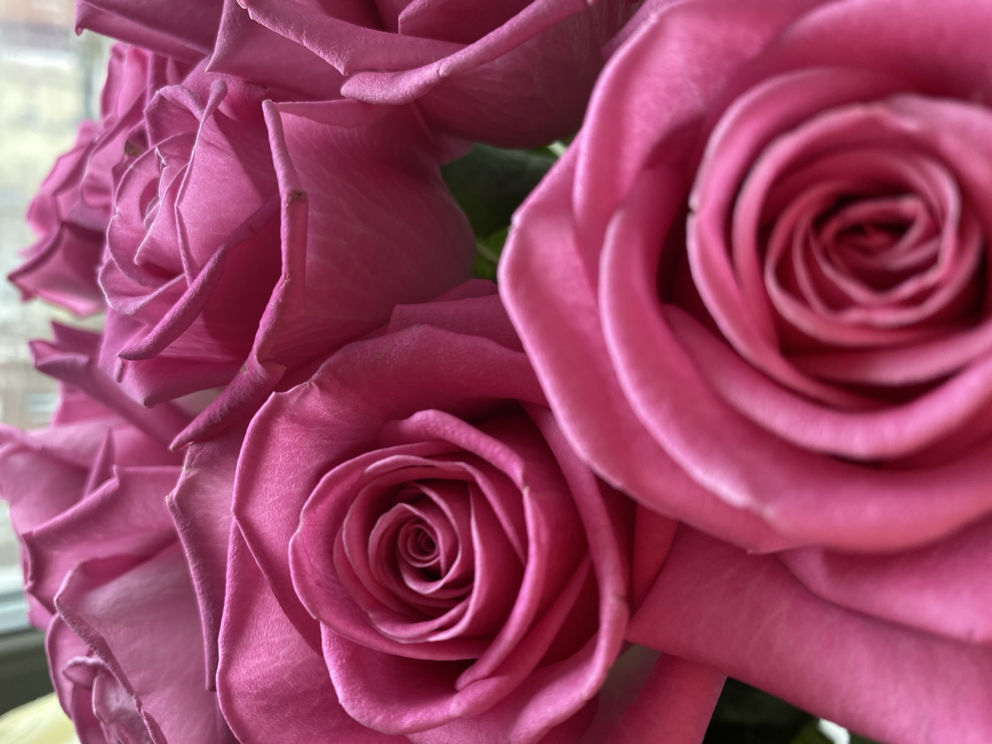 A close-up of a bouquet of pink roses. The roses are in full bloom, their petals tightly furled in the center and gradually unfurling outwards. The color is a saturated pink, with subtle variations in tone and texture. The image emphasizes the details of the petals, their velvety surfaces, and the spiral patterns they create. The background is blurry, suggesting other roses and perhaps some greenery. The location is indeterminable, but could be in Votkinsk, Russia.