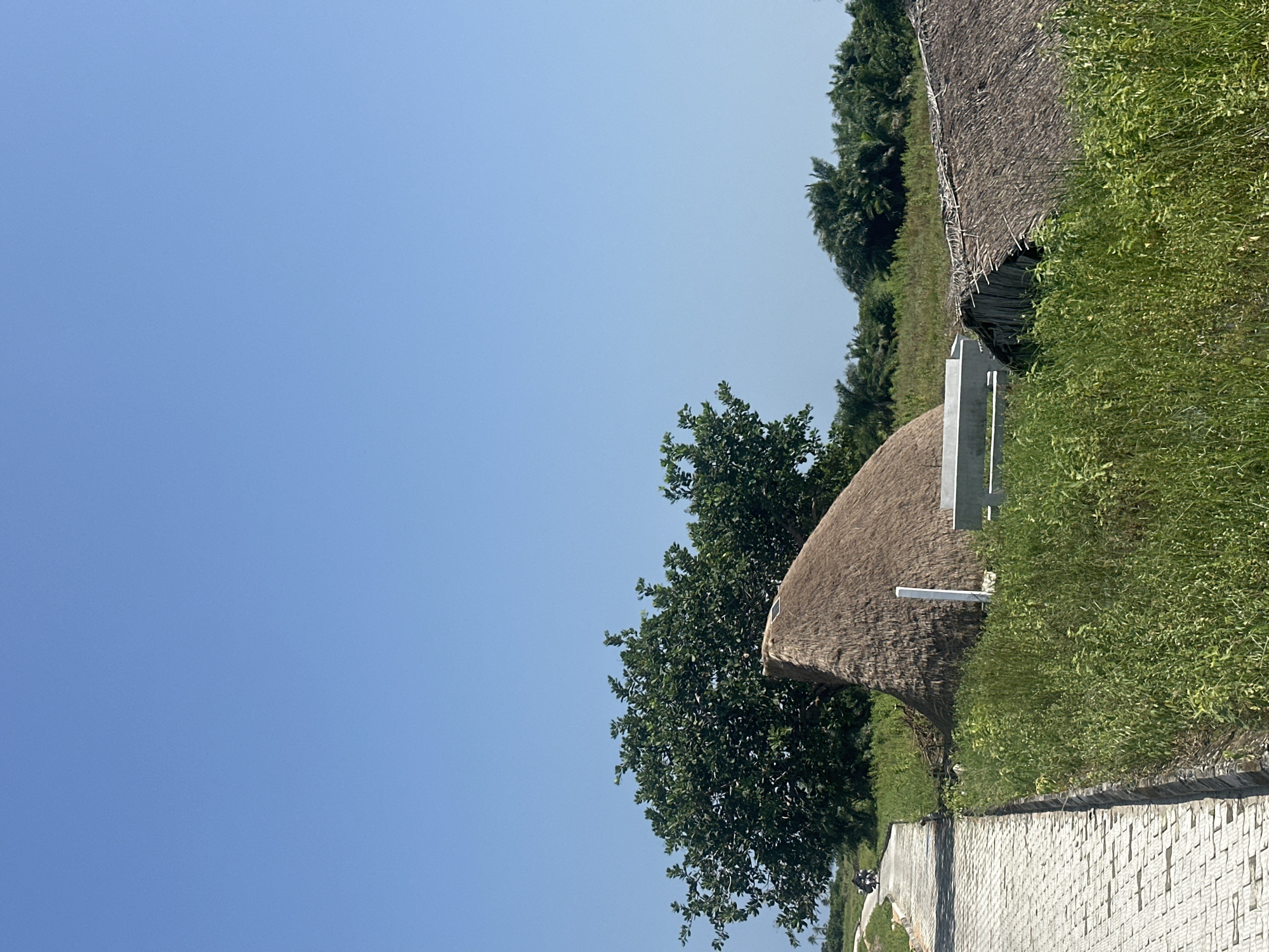 The image depicts a clear, bright day in Badagry, Nigeria, with a vast expanse of uninterrupted blue sky dominating the upper half of the frame. In the foreground, a paved walkway made of interlocking concrete pavers stretches diagonally from the lower left to the upper left corner, bordered by lush green vegetation. A person on a motorcycle is visible in the distance on the walkway, moving away from the viewer.
To the right of the walkway, several thatched-roof structures are present. One prominent structure has a rounded, conical thatched roof, partially obscured by the surrounding greenery. Adjacent to it, another structure with a thatched roof is visible, appearing somewhat dilapidated with some of its thatch material showing signs of wear and disarray. A white rectangular post stands near the rounded thatched roof.
In the middle ground, a large, dense green tree with a broad canopy stands to the left, its foliage contrasting with the lighter greens of the grass and smaller plants. Beyond this tree and the thatched structures, a line of tropical trees, including palm trees, forms a dense green backdrop against the horizon. The overall environment suggests a rural or semi-rural setting within Badagry, characterized by natural vegetation and traditional architectural elements.