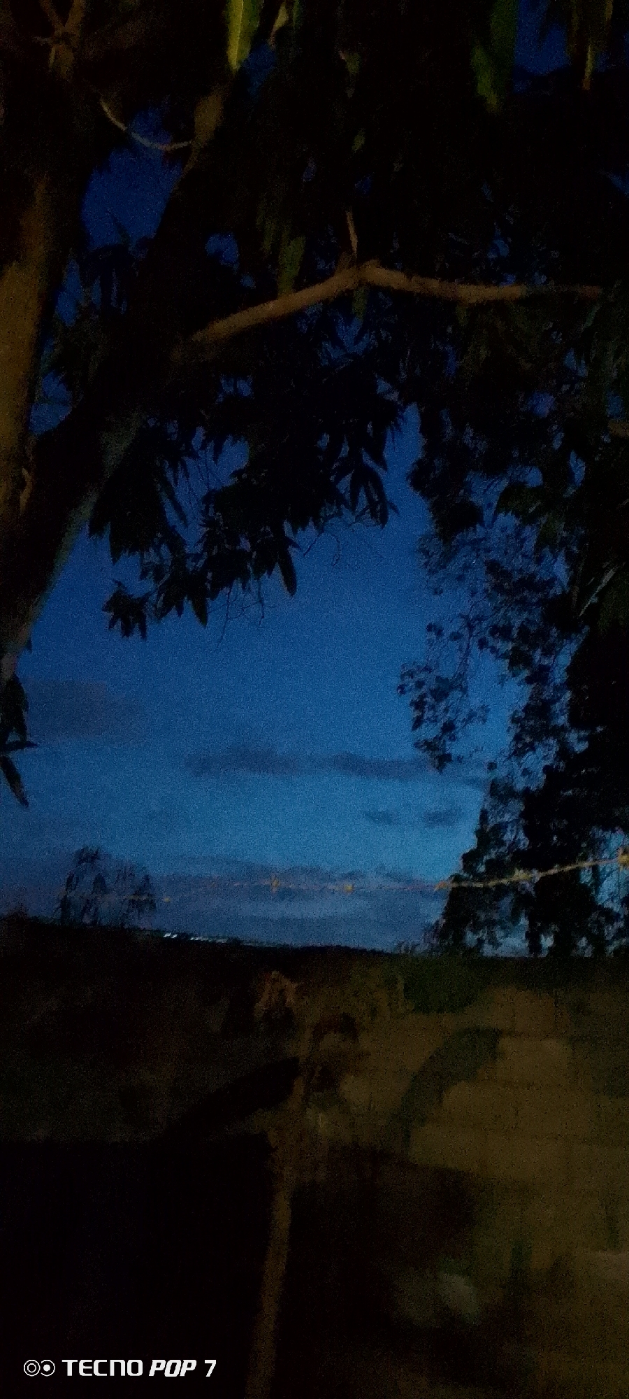 A nighttime shot framed by dark tree branches shows a landscape with a cloudy sky over a distant horizon with the faint glow of lights. The foreground is dark, obscuring details of the ground, but suggesting vegetation. A watermark in the lower left indicates the image was taken with a Tecno Pop 7. The location is likely near Altagracia, Venezuela, as requested.