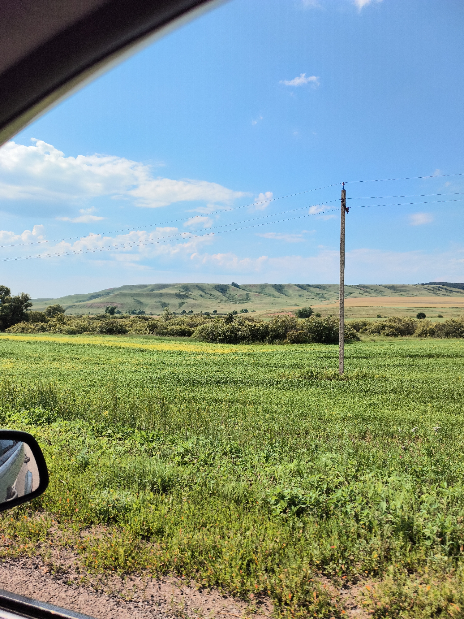 The image depicts a scenic rural landscape under a bright blue sky with scattered white clouds. The foreground is dominated by a lush green field, with some yellow wildflowers visible, hinting at a pastoral setting. A single utility pole with wires stretches across the middle ground, suggesting the presence of infrastructure in this otherwise natural environment.
Beyond the field, rolling hills form the backdrop. These hills are covered in green vegetation, with some areas appearing browner, possibly indicating cultivated fields or drier patches of land. The undulation of the hills creates a sense of depth and vastness.
In the lower left corner, the side mirror of a vehicle is visible, reflecting a portion of the landscape, including the road and the car's body. This perspective suggests the image was taken from a moving vehicle, capturing a fleeting moment of the journey.
The time of day appears to be midday or early afternoon, given the bright sunlight and clear sky. The weather seems pleasant and sunny, conducive to outdoor activities or travel. The overall mood is serene and tranquil, evoking a sense of peace and connection with nature.
The location is identified as Pokrovka, Russia. While there is no visible text in the image, the visual elements strongly suggest a rural area in Russia, characterized by open fields, rolling hills, and utility poles. The scene captures the beauty of the Russian countryside on a clear, sunny day.