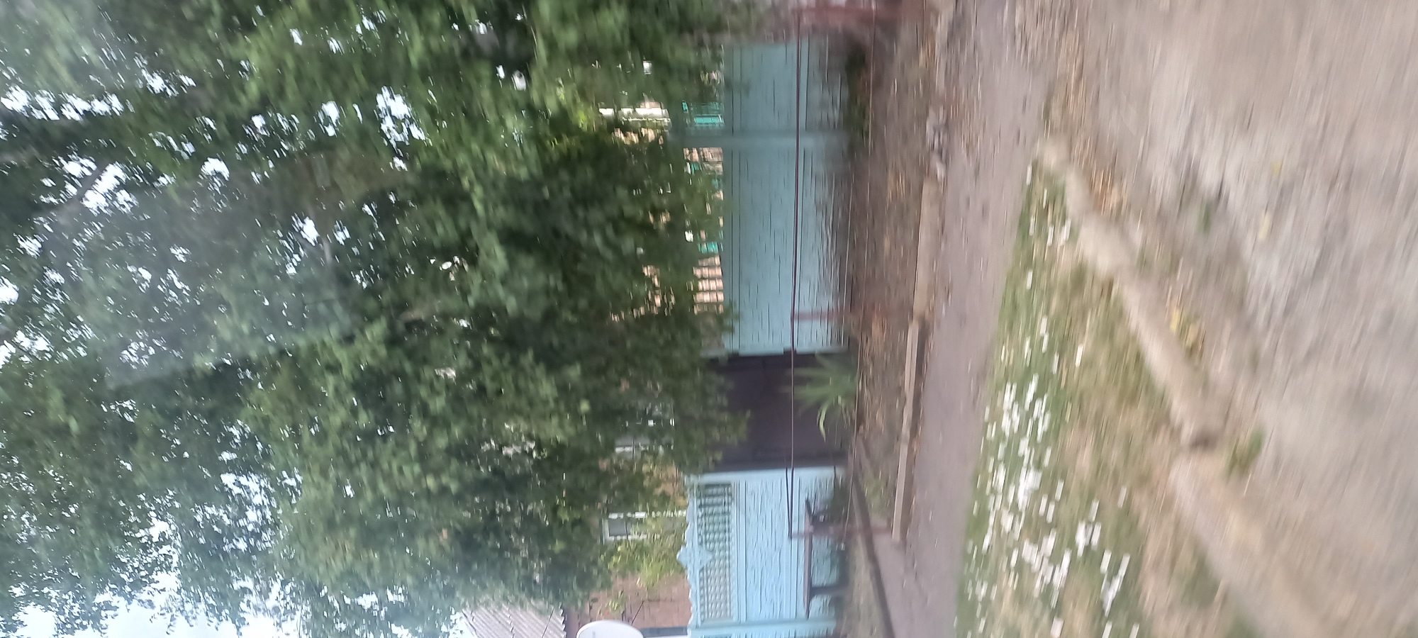The image depicts a motion-blurred view of a light blue fence with a textured surface, possibly concrete or stucco, running horizontally across the frame. Behind the fence, a dark brown gate or door is visible. To the left of the gate, a dark wooden bench sits on the ground. A few green plants are scattered in the dirt area behind the fence, and a large tree with green foliage partially obscures the view of a building with a grey roof on the far left. The foreground shows a blurred grassy area with scattered white debris. The scene suggests an outdoor setting, likely a yard or residential area. The image appears to have been taken from a moving vehicle. There are no people or discernible actions taking place.