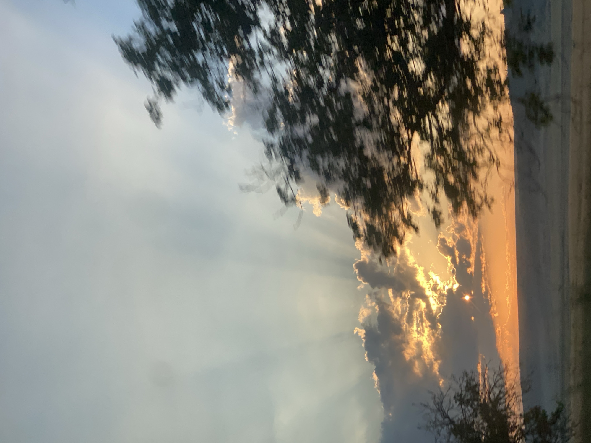 This is a photograph of a sunset over a landscape. The sun is partially obscured by clouds, casting rays of light across the sky. In the foreground, there are trees, one of which is in sharp focus on the right side of the image, and another, out of focus, on the left. The background shows a hazy horizon line, suggesting a vast open area. The image appears to have been taken from a moving vehicle, as indicated by the motion blur of the foliage. The location in Congaz, Moldova, is implied by the context provided.