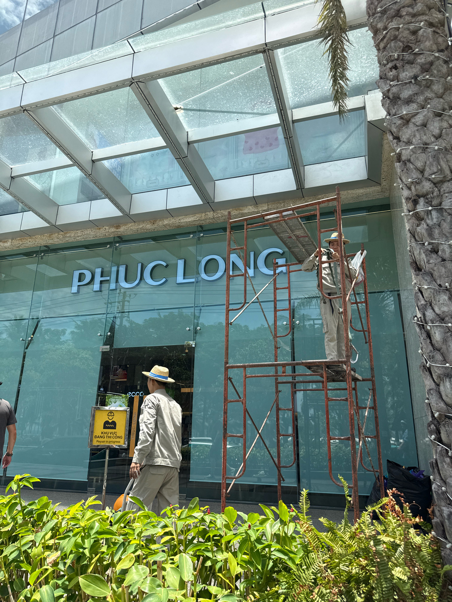 Two men are on scaffolding in front of a glass-fronted building with the name "PHUC LONG" visible in large blue letters. One man, wearing a hat and tan work clothes, is standing on a platform on the scaffolding and appears to be working, holding a plastic bag. Another man, also in tan work clothes, is standing on the ground next to the scaffolding. A yellow sign with a diagram of a construction worker and text in Vietnamese that reads "KHU VUC DANG THI CONG" (Repair in progress) is posted nearby. The scene is outdoors, with green foliage in the foreground and a palm tree trunk to the right. The sky is visible above the building.