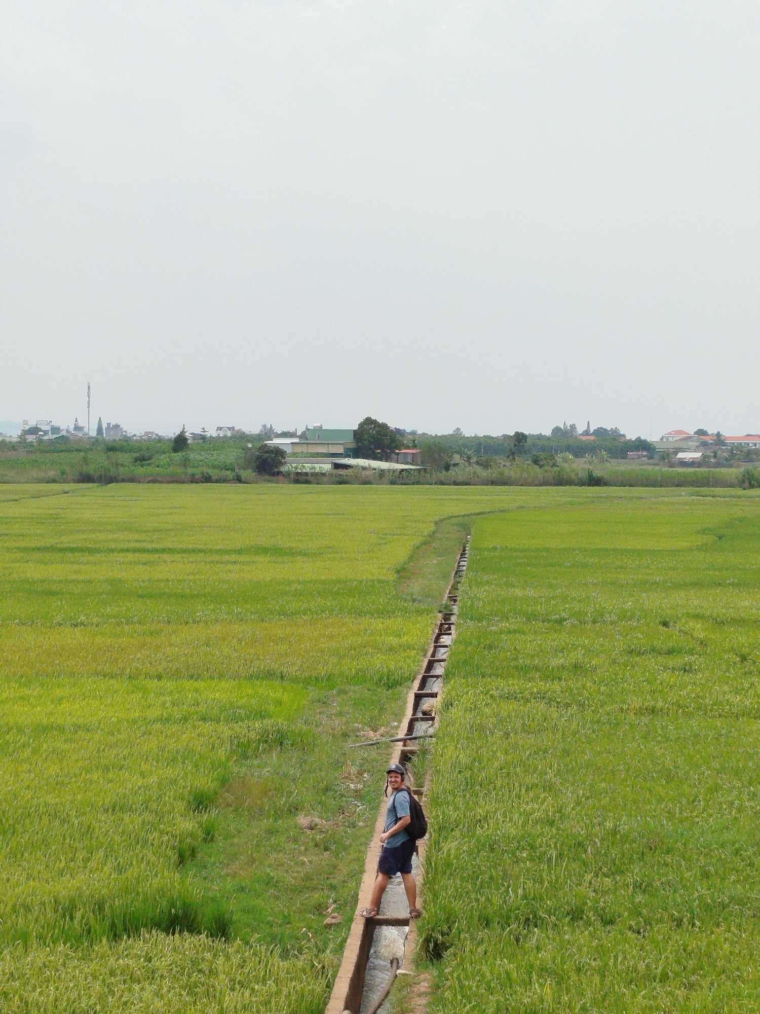 A medium-shot captures a man standing on a concrete water channel running through a lush, green paddy field in Tân Đà, Vietnam. The man, wearing a light blue t-shirt, dark shorts, sandals, and a dark cap, has a backpack. He is looking back towards the camera. The water channel extends from the foreground to the distant background, creating a linear path through the field. Beyond the field, in the background, a mix of trees and houses are visible under a hazy sky. A cell tower rises above the houses and trees. The lighting is soft, typical of overcast conditions. The paddy field is dense and appears to be at a stage of mature growth. The entire scene is situated in a rural or semi-rural environment.