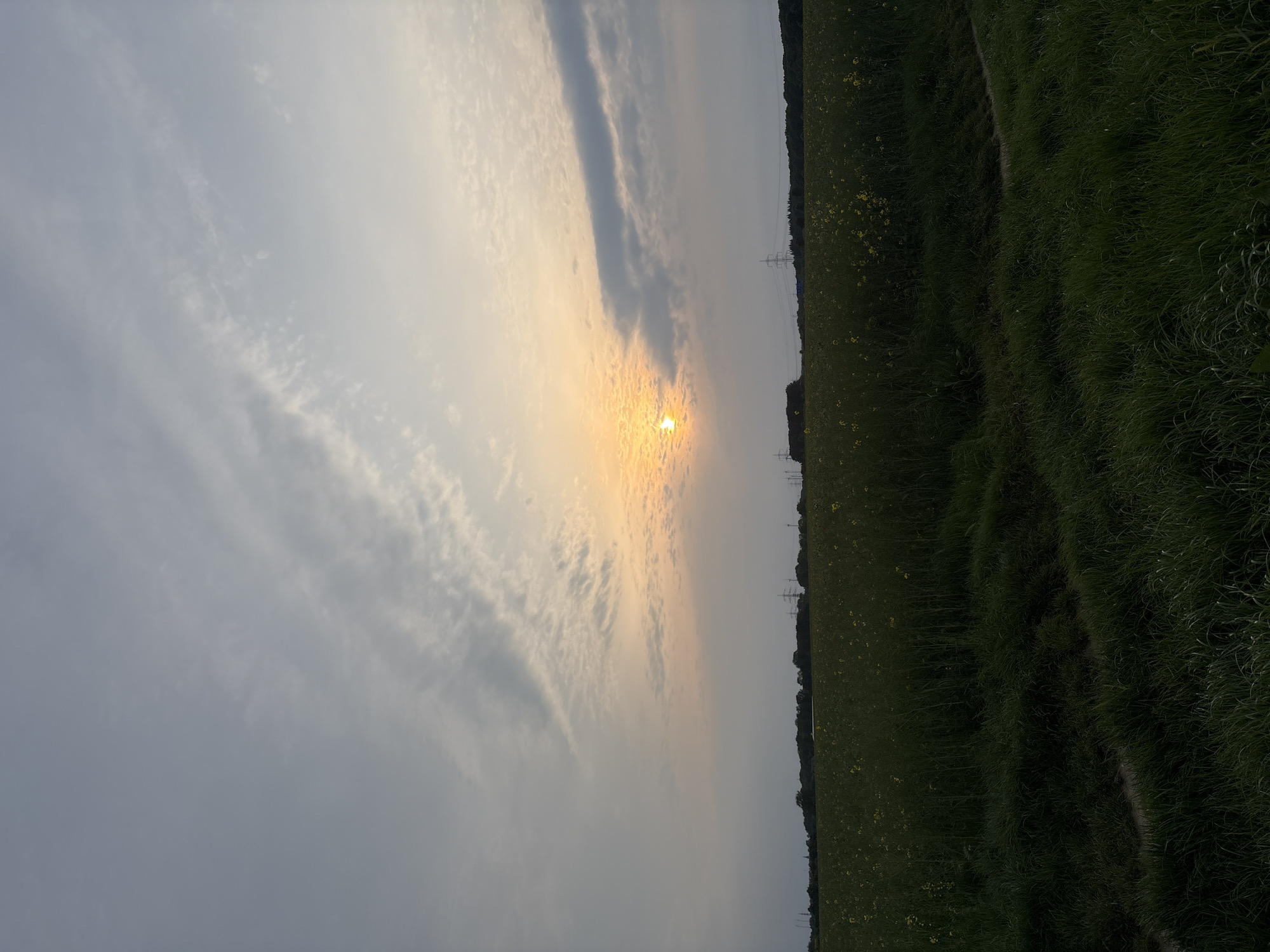 The image shows a landscape at sunset or sunrise. The sun is visible through the clouds, creating a bright glow in the sky. The sky is mostly cloudy with some clear patches. On the right side of the image is a field of green grass with some yellow flowers, likely rapeseed. Power lines are visible on the horizon, indicating an area with infrastructure. Based on the request for location, it is likely this is in Mönchengladbach, Germany, though specific landmarks are not visible to confirm this. No people are visible in the image.