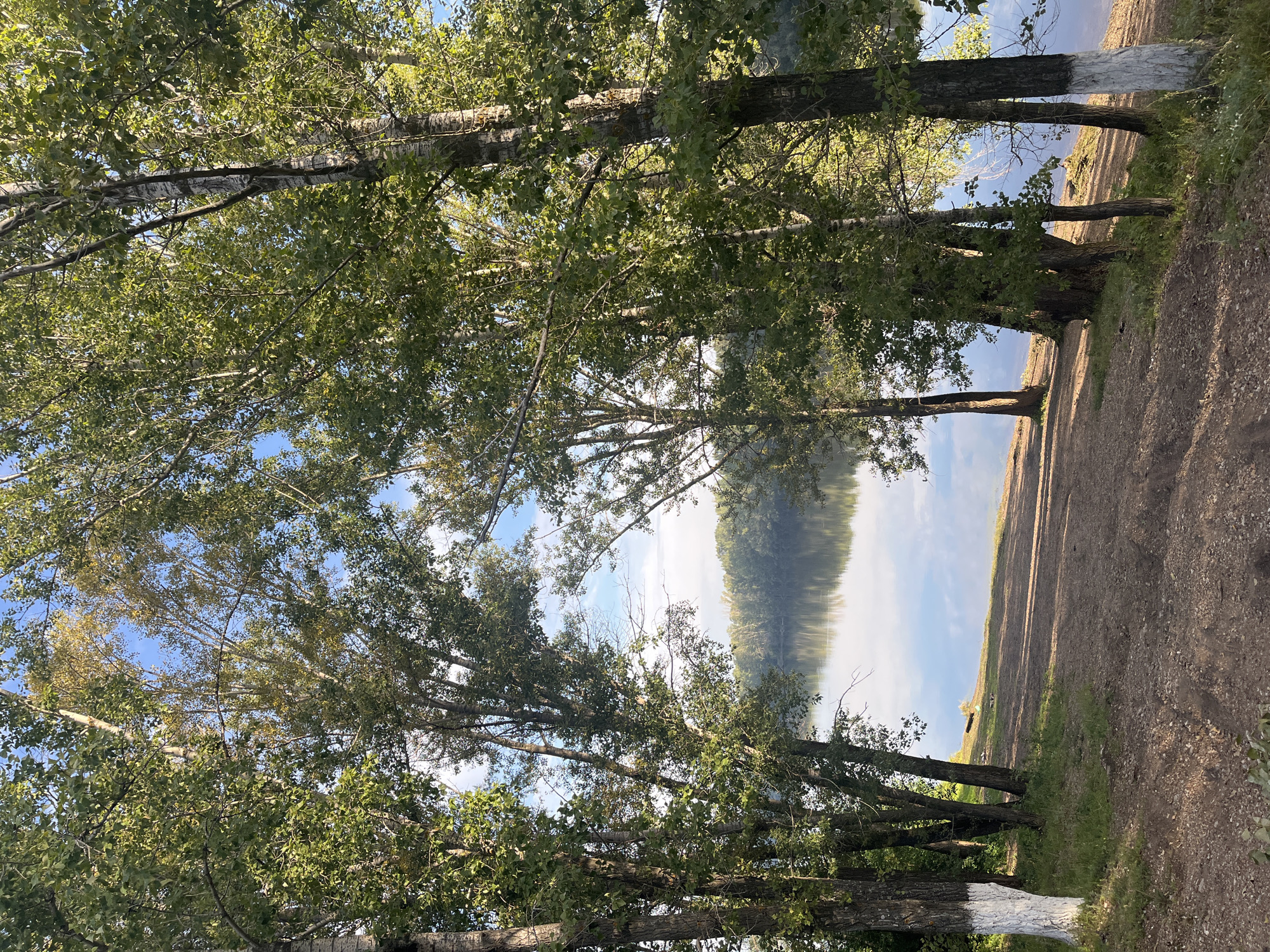 This is a vertical, eye-level, full shot of a tranquil waterfront scene bathed in soft, late afternoon sunlight. The foreground is dominated by a dirt path sloping gently towards a calm body of water. Lush green trees, their trunks painted white at the base of some, line the path and frame the view of the water. Their leaves are a vibrant green, with hints of yellow suggesting the transition to autumn. Beyond the trees, the water reflects the pale blue sky and the distant, tree-covered shoreline. The reflection is clear and unbroken, indicating a peaceful and still environment. The overall impression is one of serene natural beauty. This scene is likely located along the embankment of the Ufa River within the city of Ufa, Russia, a common recreational area offering views of the water and surrounding greenery. No people or animals are visible in the frame.