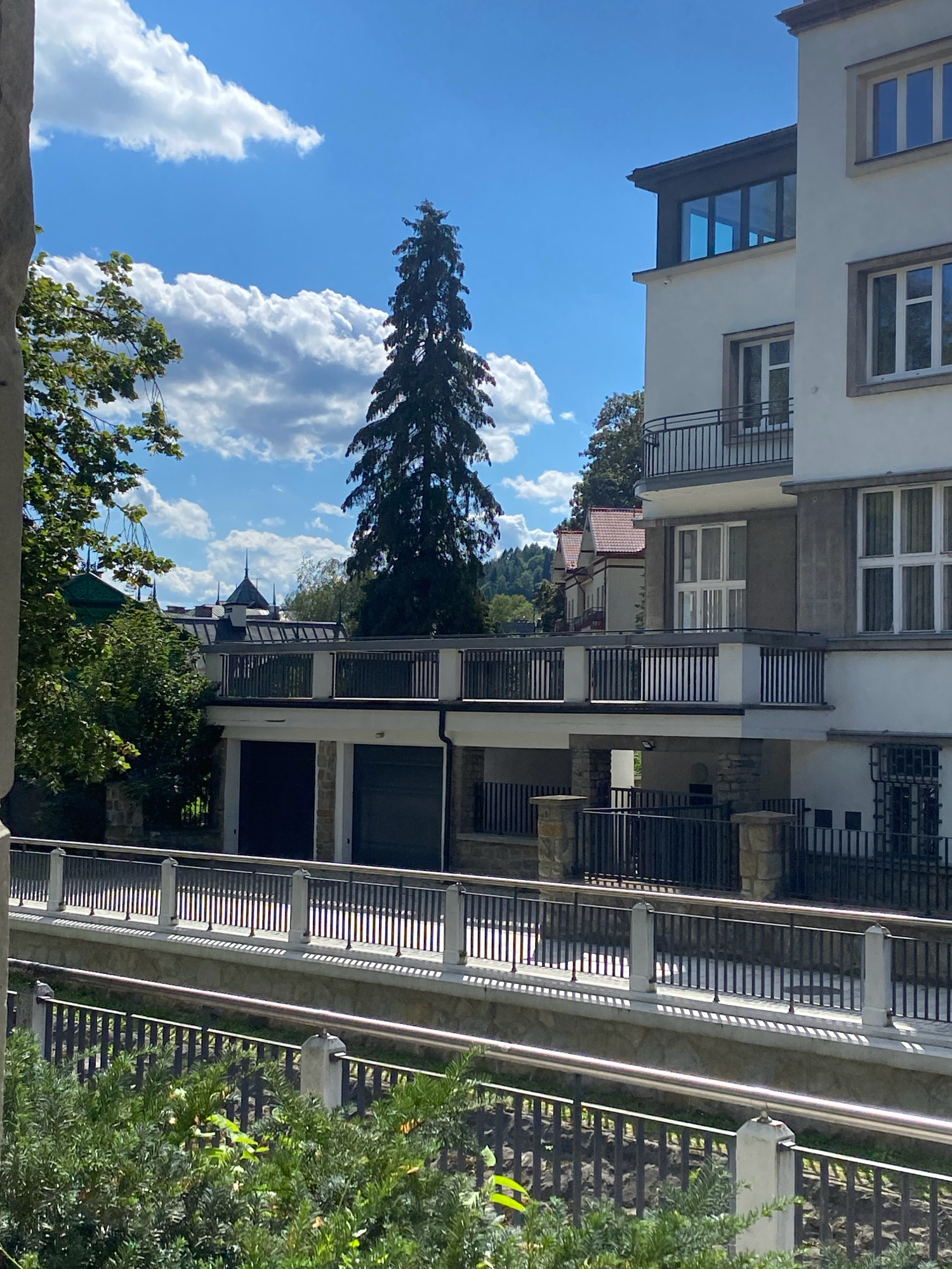 The image depicts a view of a white, multi-story building with balconies and large windows, situated in Krynica-Zdrój, Poland. The building appears modern in design, with clean lines and a light-colored facade. A tall, dark evergreen tree stands prominently to the left of the building, with its branches reaching towards the sky. The sky is a bright blue with scattered white clouds. In the background, several other buildings with red-tiled roofs are visible, suggesting a residential or urban setting. A metal railing runs along the front of the buildings, separating them from a lower level that appears to have garage doors. Lush green foliage frames the lower part of the image, hinting at a park or garden area. The overall impression is one of a peaceful, sunny day in a well-maintained town.