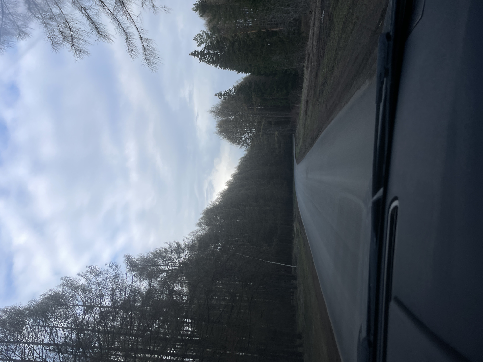 The image captures a view from inside a vehicle traveling on a paved road through a forested landscape in Подшивалово, Russia. The road, which appears to curve gently to the right and recedes into the distance, is the central element of the scene.
On both sides of the road, dense forests line the route. On the left, a mix of bare deciduous trees with intricate branch patterns and taller, dark green coniferous trees are visible, extending up towards the cloudy sky. Some delicate branches in the upper left foreground appear to be lightly frosted or covered, hinting at cold weather, possibly late winter or early spring. The right side of the road is also bordered by a thick forest, with numerous dark trees.
The sky is predominantly overcast with light grey and white clouds, though a brighter area is visible on the horizon, suggesting the sun is behind the clouds. The light indicates it is daytime, likely late morning or early afternoon. A part of the vehicle's interior, including a dark pillar and a windshield wiper, is visible along the right edge of the frame, confirming the perspective is from within a car.
No people are visible in the image, and there is no discernible text. The scene conveys a sense of quiet travel through a natural, wooded environment.