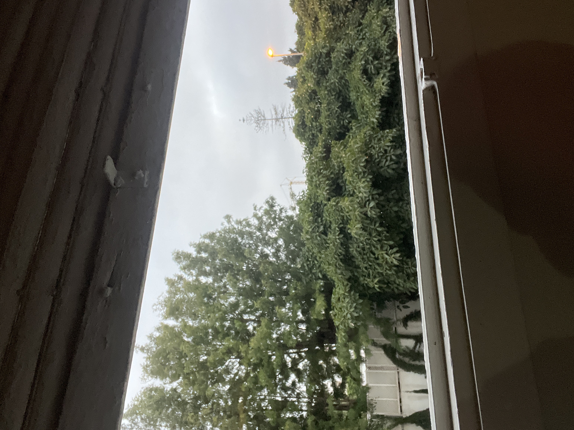 The image depicts an outdoor scene viewed from an interior or semi-enclosed space, likely a window or balcony. The foreground consists of a dark, unidentifiable lower surface, a light grey horizontal window frame or railing structure, and a dark, textured overhead beam or ceiling.
The outdoor environment is characterized by dense vegetation under an overcast, light grey sky. On the left, a cluster of tall, slender green trees is visible, with a light-colored fence partially obscured beneath them. To the right, a thick canopy of shorter, round-canopied green trees occupies the midground. In the far background, a solitary, sparse conifer-like tree stands against the sky. A yellow construction crane is faintly visible to the left of this sparse tree, and an illuminated street lamp with an orange glow is present to its right. The scene is devoid of people. The setting is within the city of Casablanca, Morocco, under cloudy conditions.