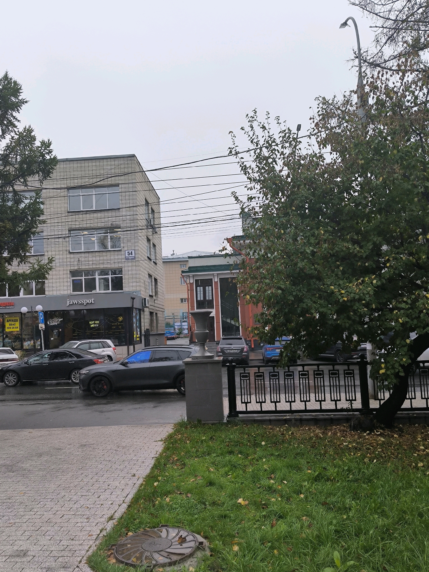 The image depicts a street scene in Novosibirsk, Russia, under an overcast sky. In the foreground, a paved sidewalk runs along a grassy area with fallen autumn leaves. A metal manhole cover is visible on the grass. A black metal fence with a repeating rectangular design separates the sidewalk from the street. Beyond the fence, several cars are parked and driving on the wet asphalt road.
To the left, a modern, multi-story building with a light-colored, textured facade is prominent. The building has several windows, and a sign reading "jawssspot" is visible on the ground floor, along with other storefronts. A smaller building with an orange facade and green trim is visible further down the street. Trees with green and yellowing leaves are scattered throughout the scene. A street lamp is visible on the right side of the image, emerging from behind the trees. The overall atmosphere is that of a typical urban environment on a cloudy autumn day.