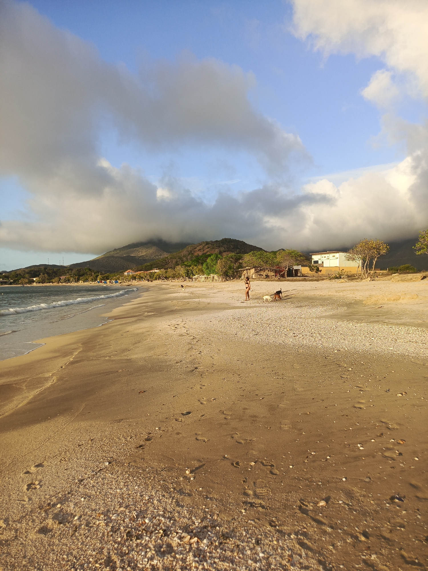The image depicts a wide, sandy beach in Pedro González, Venezuela, with a gentle surf rolling onto the shore. The sand is speckled with numerous small shells, especially closer to the foreground. In the middle ground, a person wearing a bikini stands on the beach, interacting with two dogs. One dog is dark-colored, and the other is lighter. Further in the background, there are several small buildings and some scattered trees, with a prominent mountain range covered in clouds looming behind them. The sky above is a mixture of blue and dramatic, diffused clouds, suggesting either early morning or late afternoon light. The overall scene conveys a sense of natural tranquility and a leisurely day at the beach.