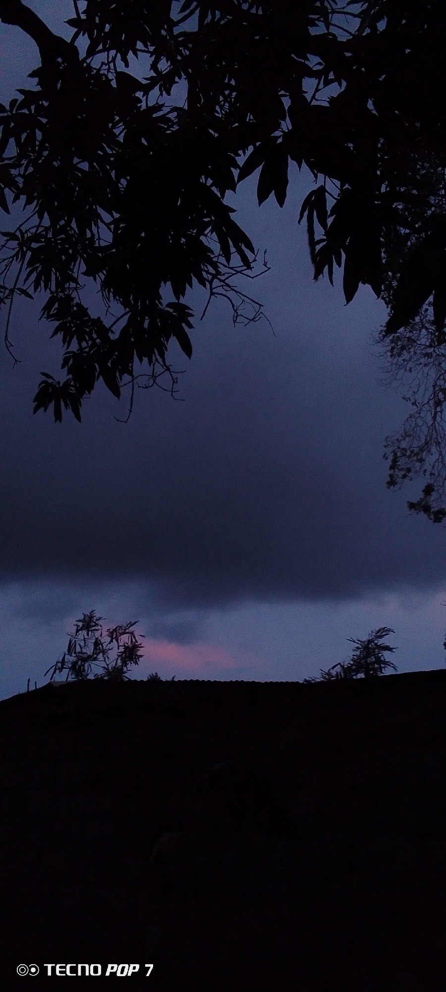 The image depicts a silhouetted view of trees and a rooftop against a dark, cloudy sky at dusk or dawn. The foreground features the dark shapes of leafy branches of trees framing the top of the image, and a dark silhouette of a rooftop with sparse vegetation on it towards the bottom. The sky is a deep blue-purple, with some lighter patches suggesting distant clouds or a break in the cloud cover. The bottom left corner of the image displays the text "TECNO POP 7" in white lettering, indicating the device used for capture. There are no visible people, specific landmarks, or any discernible details that would pinpoint a location within Altagracia, Venezuela, beyond the general context of a possibly semi-rural or suburban outdoor scene.