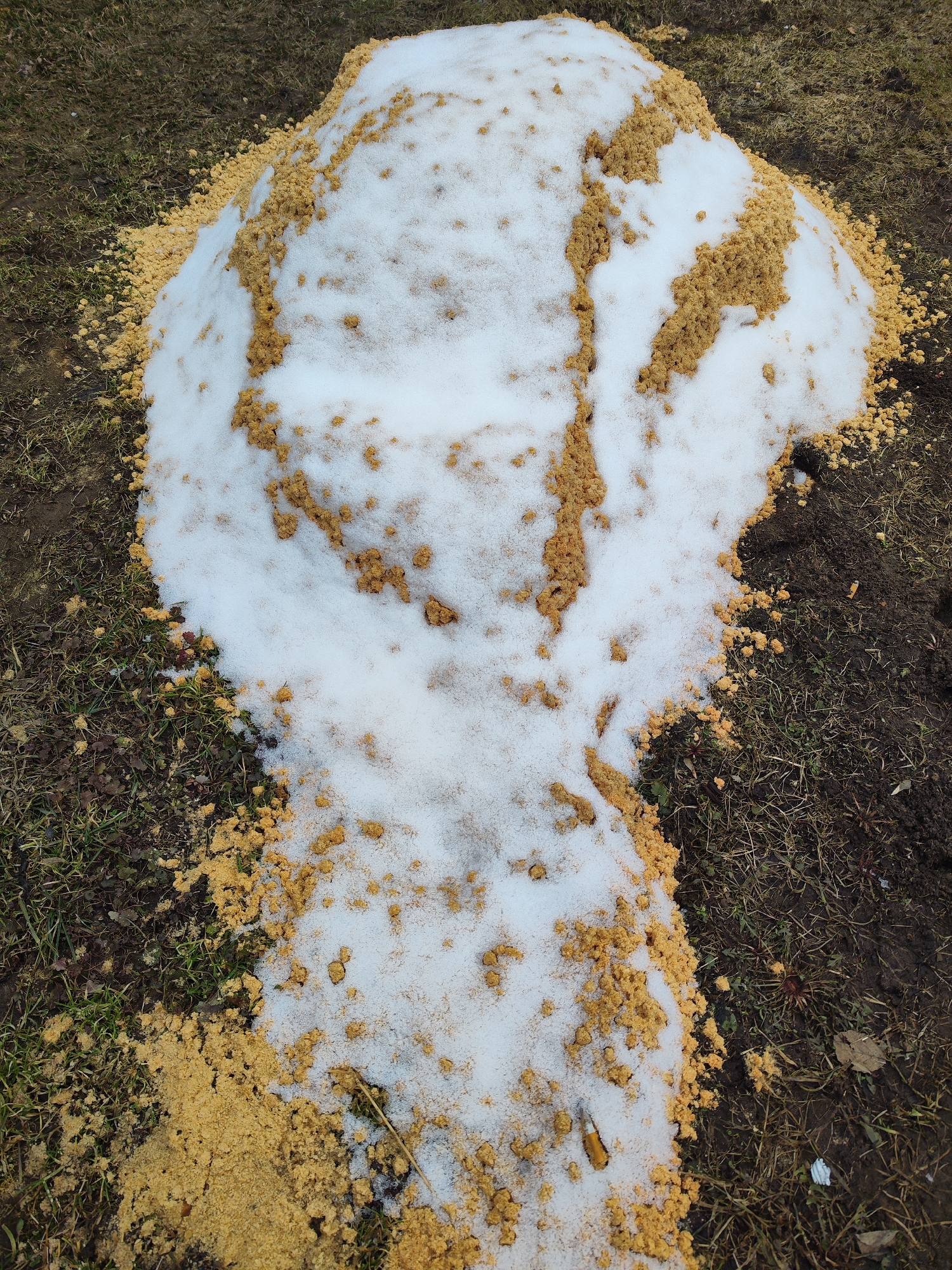 A snowdrift, partially covered with scattered, golden-brown granular material, sits on a patch of damp earth and sparse grass. The scene is located outdoors. Specific identifiers suggesting the location is Chaikovsky, Russia, are not discernible from the image provided.