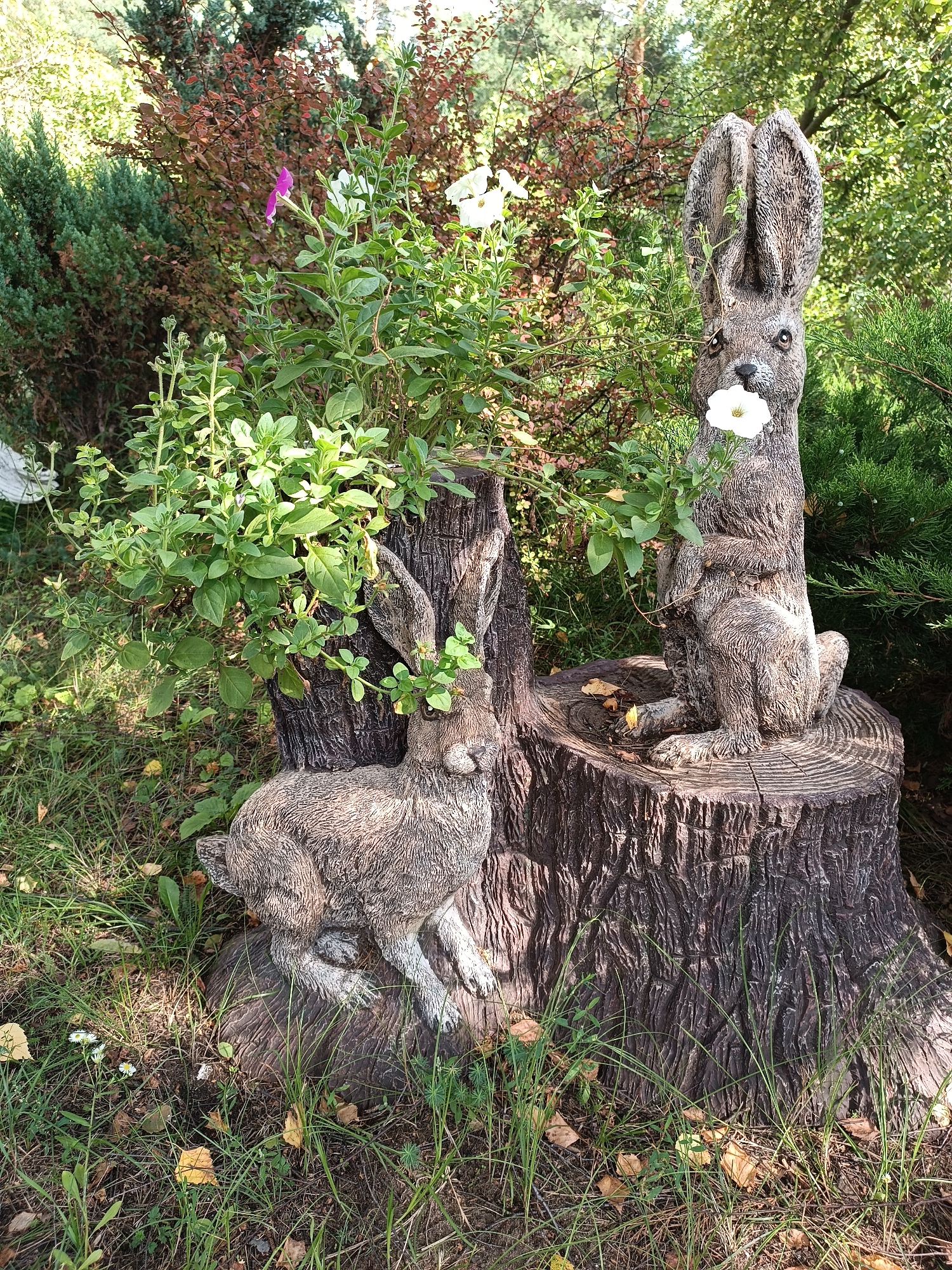 In a lush, green garden setting, two garden sculptures of rabbits are positioned on a large tree stump. The sculpture on the left is a smaller, seated rabbit, with its head tilted slightly and green leaves sprouting from its ears. To its right, on the same stump, is a taller, upright rabbit sculpture holding a white flower in its mouth. Both sculptures are textured to resemble fur. The tree stump itself is rough and weathered, with visible bark details and cracks. Surrounding the stump are various green plants, including some with delicate purple and white flowers, and lush green grass. In the background, dense foliage and trees create a natural, wooded environment. Fallen yellow leaves are scattered on the ground. The scene is brightly lit by sunlight, casting subtle shadows. This image was captured in the city of Bykovo, Russia.