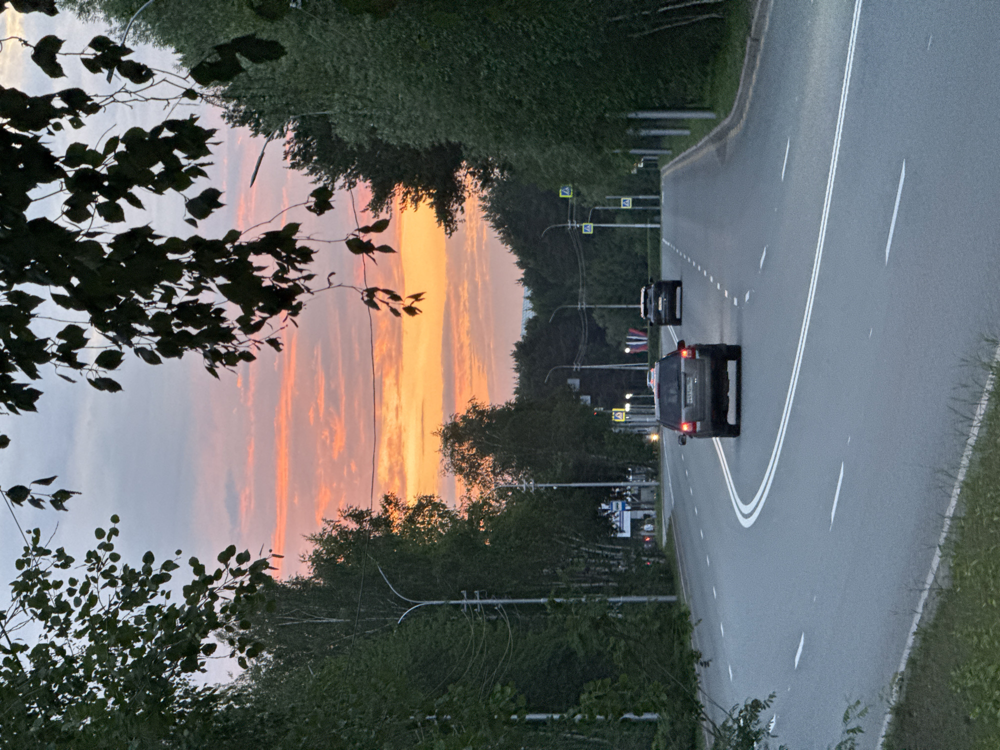 The image depicts a road scene at dusk, with the sky displaying vibrant orange and pink hues, suggesting a sunset. Dark green trees line the left side of the asphalt road, which has double white lines marking its lanes. A few cars are visible on the road, moving away from the viewer. Traffic lights and street signs are present along the roadside. The foreground features dark green foliage, framing the left side of the image and partially obscuring the sunset. The overall atmosphere is serene and peaceful, with the fading light creating a dramatic backdrop. The scene appears to be set in a suburban or rural area, with the natural elements of trees and sky dominating the view. There is no visible text in the image.