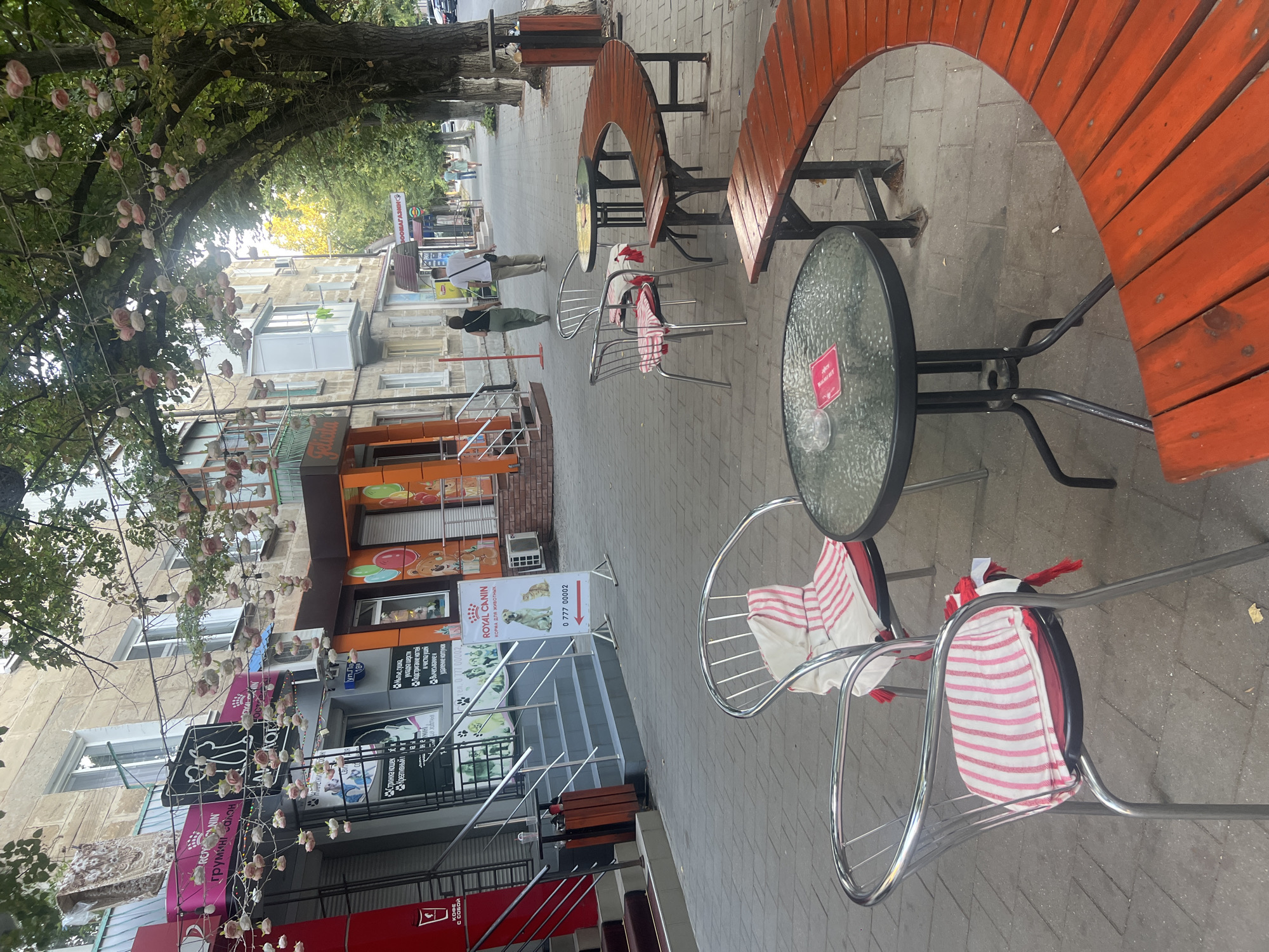 The image depicts a street-level view of an outdoor seating area on a sidewalk in the city of Bender, Moldova. In the foreground, two metal chairs with striped red and white cushions are placed around a circular glass-top table. Another identical chair is partially visible to the left. Behind these, a curved wooden bench, painted bright orange, forms a semi-circle around another small table. The sidewalk is paved with grey rectangular tiles.
In the mid-ground, the facade of a building with multiple shops is visible. Signs in a Cyrillic-based script are displayed, indicating businesses such as a grooming salon ("Груминг салон") and a pet supply store ("Royal Canin"). One sign features a phone number: 0 777 00002. A set of grey stairs leads up to the entrance of one of the establishments. Two individuals, a man and a woman, are walking away from the viewer on the sidewalk. The man wears a white t-shirt and beige pants, carrying a dark bag over his shoulder. The woman wears a black top and green pants.
The background shows more of the building facade, with windows and balconies. Trees with green foliage line the sidewalk, and decorative strings of artificial pink flowers are suspended from the branches, creating an overhead canopy. Beyond the immediate buildings, other structures and trees are visible, suggesting a developed urban environment. The overall lighting suggests it is daytime.