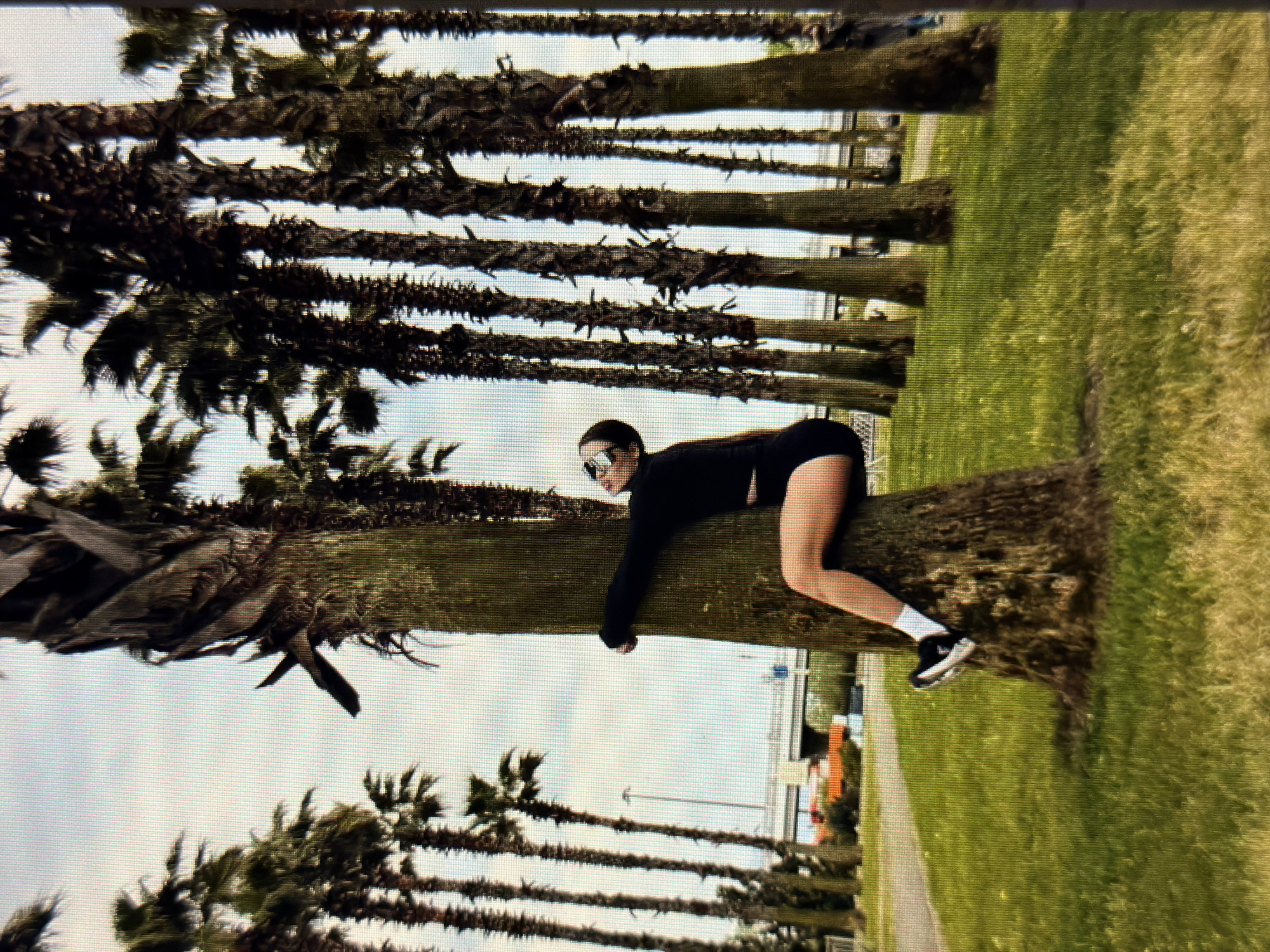 A person is seen from the side, lying face down with their arms wrapped around a palm tree. They are wearing a black top and black shorts, and white socks with black and white sneakers. The person is wearing sunglasses. The scene is outdoors, with a line of palm trees stretching into the distance. The ground is covered in grass, and there is a pathway visible. In the background, there are some buildings. The image is a vertical shot and is rotated 90 degrees counter-clockwise. The time of day appears to be daytime, with a clear sky. The location cues (palm trees, grass, pathway, buildings) suggest an urban or park setting. There is no visible text in the image.