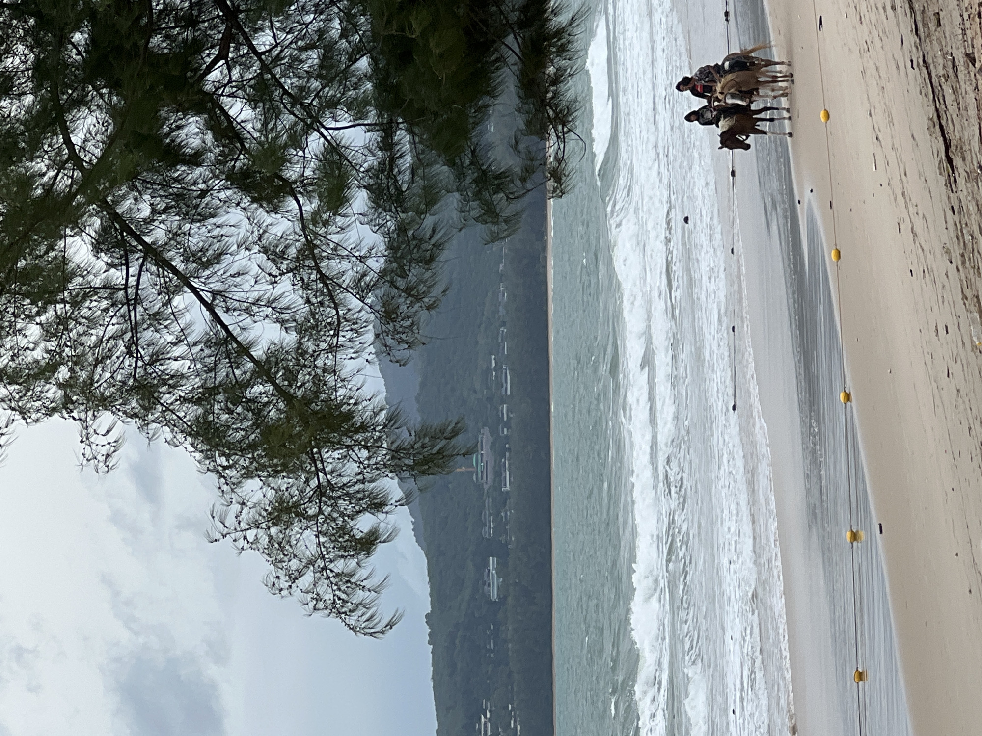 The image depicts a beach scene in an unidentified location. The foreground is dominated by the branches of a tree obscuring the sky with hints of light-grey clouds. The middle ground features a coastline with a beach, waves crashing onto the shore, and a mountain or hill in the background with structures dotting its slope. In the water near the sandy shore, there are two people riding horses. Yellow buoys on a string line can be seen on the beach.