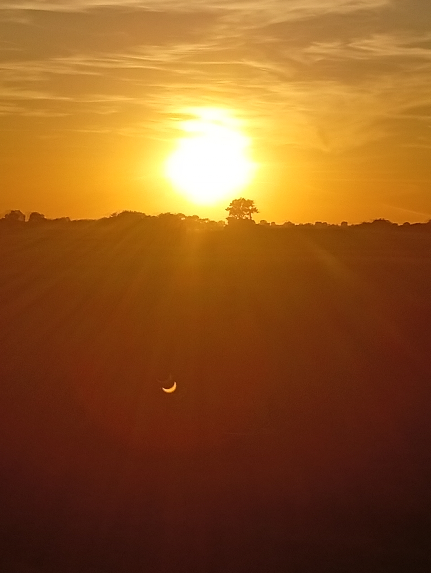 The image is a photograph of a solar eclipse taken at sunset in Sosnowiec, Poland. The sun, partially obscured by the moon, is a brilliant orb in the sky, casting a warm, orange glow over the landscape. The foreground is a dark, silhouetted field, with the faint outline of trees and buildings on the horizon. In the lower right quadrant of the image, a crescent-shaped shadow of the moon can be seen against the darkening sky, indicating the ongoing solar eclipse. The sky is filled with wispy clouds, illuminated by the setting sun.