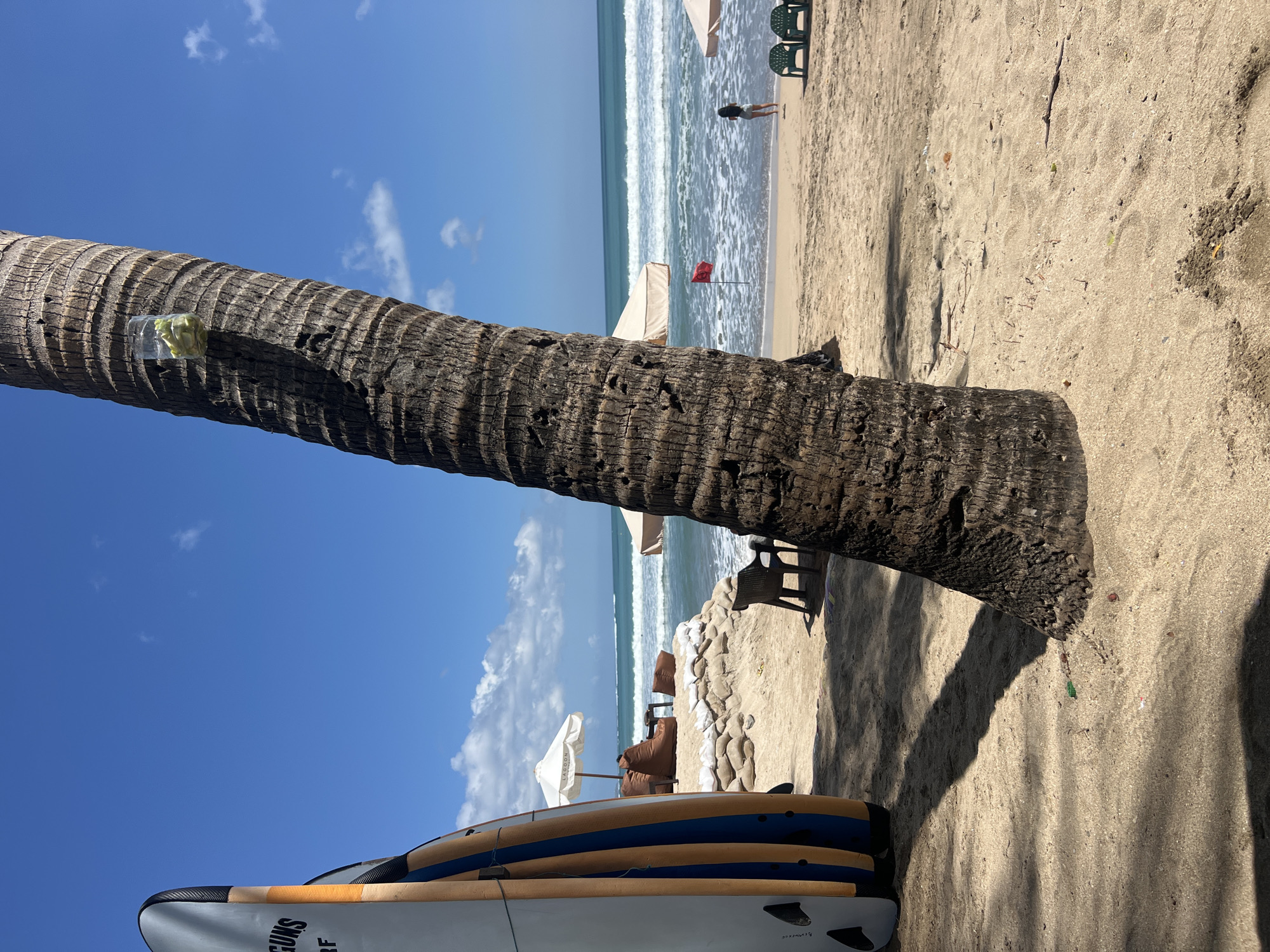 In Kuta, Indonesia, a sun-drenched beach scene unfolds under a bright blue sky with scattered white clouds. The foreground is dominated by the thick, textured trunk of a palm tree, its rough bark casting a shadow across the sandy ground. Attached to the tree trunk is a clear plastic cup filled with a light-colored substance, possibly food. To the left, two surfboards stand upright, their colorful blue and orange stripes contrasting with the muted tones of the sand.
Further back, the beach slopes towards the ocean, where gentle waves break on the shore. A red flag is planted in the sand near the water's edge, signaling conditions. A woman in a light-colored top and shorts stands facing the ocean, her back to the camera, a short distance from the water. Two green plastic chairs are positioned on the sand, further down the beach. In the mid-ground, several white umbrellas and beige beanbag chairs suggest a seating area for beachgoers, protected by sandbag barriers. The overall impression is one of a relaxed, tropical beach environment.