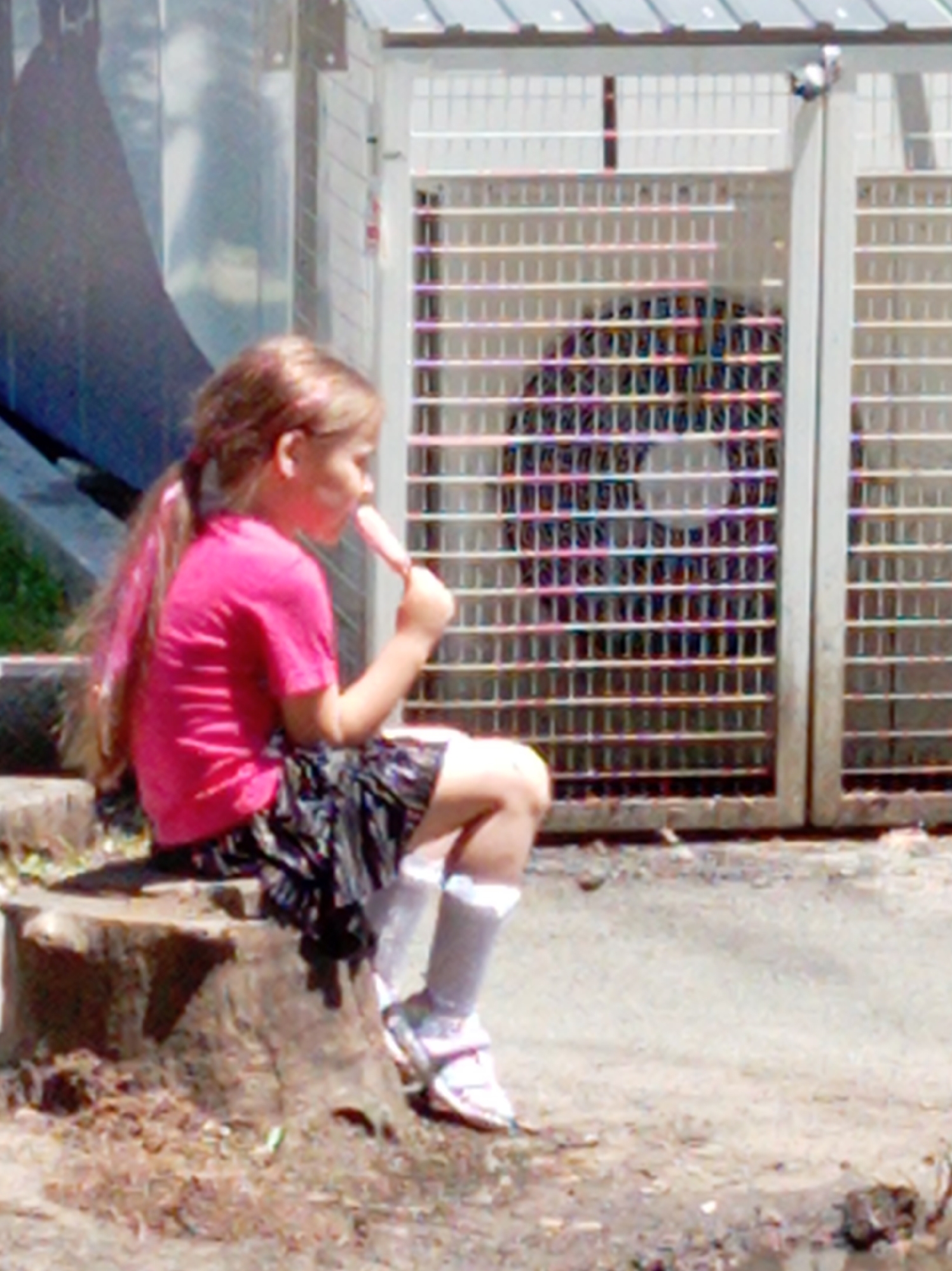 A young girl with blonde hair pulled into a ponytail, adorned with pink streaks, is seated on a tree stump in an outdoor setting. She is wearing a pink t-shirt and a black and white patterned skirt. In her right hand, she holds a pink popsicle, which she is eating. Her legs are crossed, and she is wearing white socks and white sneakers. In the background, there is a metal fence enclosing an area where a shadowy figure, possibly an animal, is visible. The ground appears to be dirt and debris.